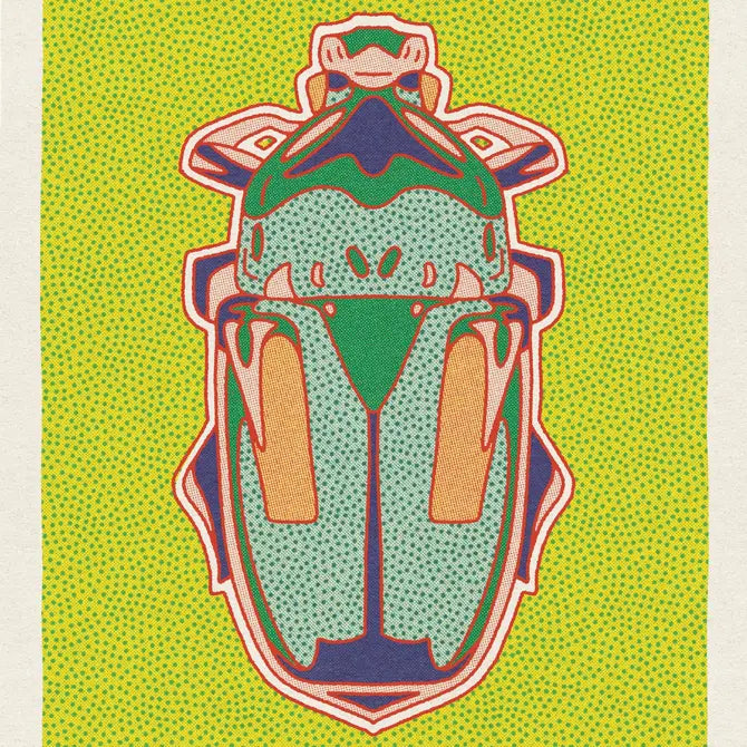 Desert Beetle Postcards - Single Design