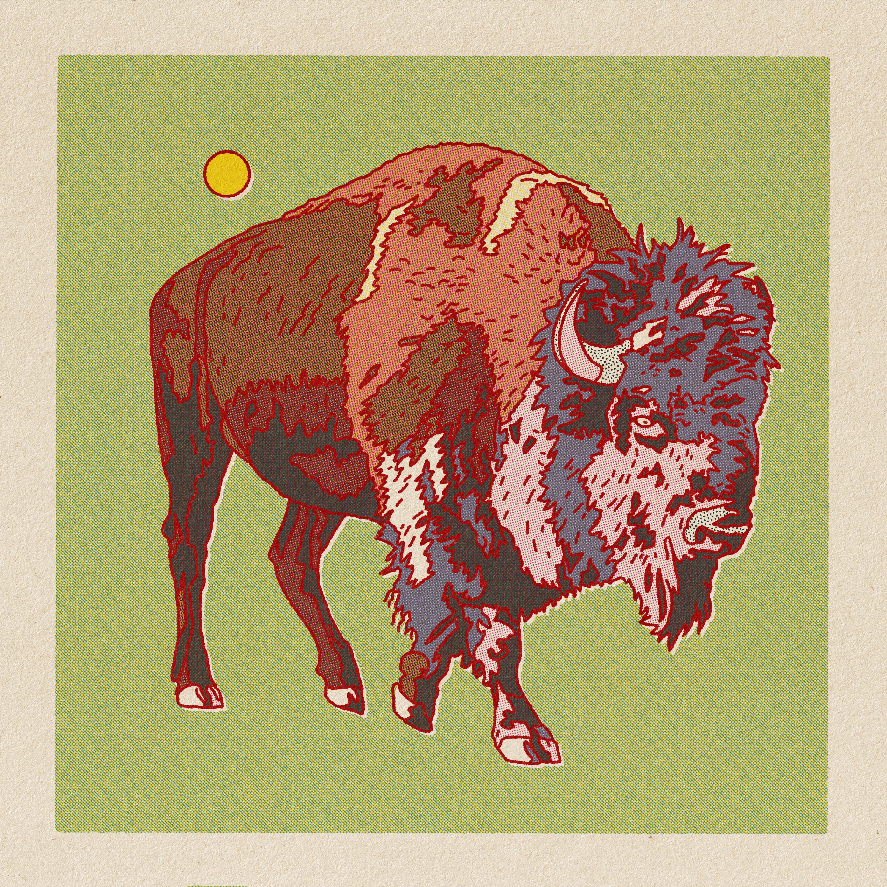 Bison Art Print