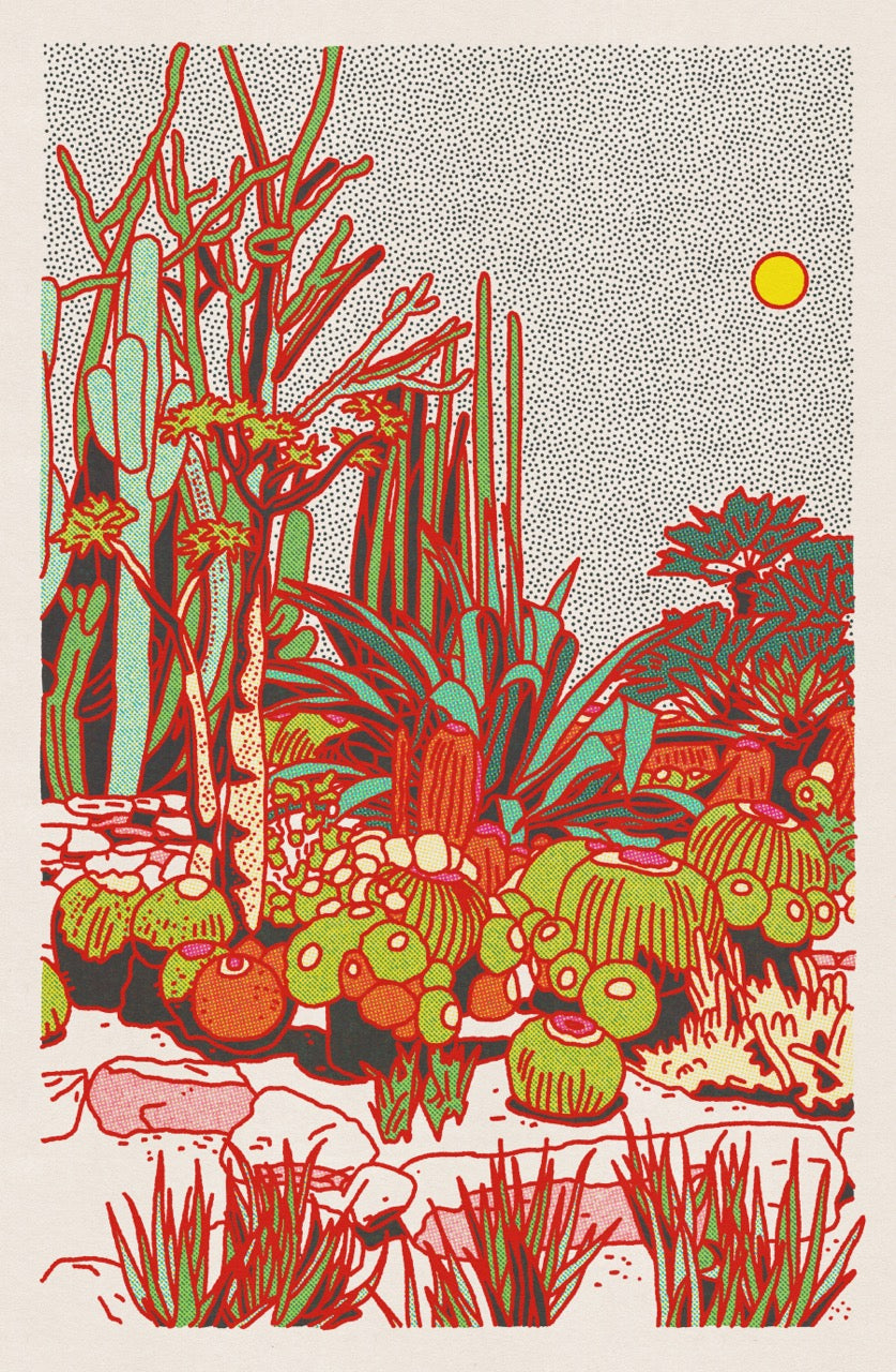 Cactus Planet Art Print #5