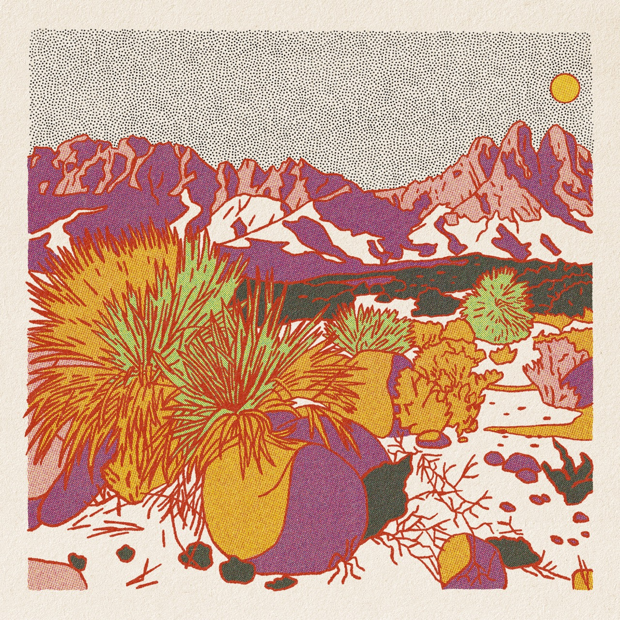 Morning Desert Postcard Pack – Long Lost Studio by Caroline Clark