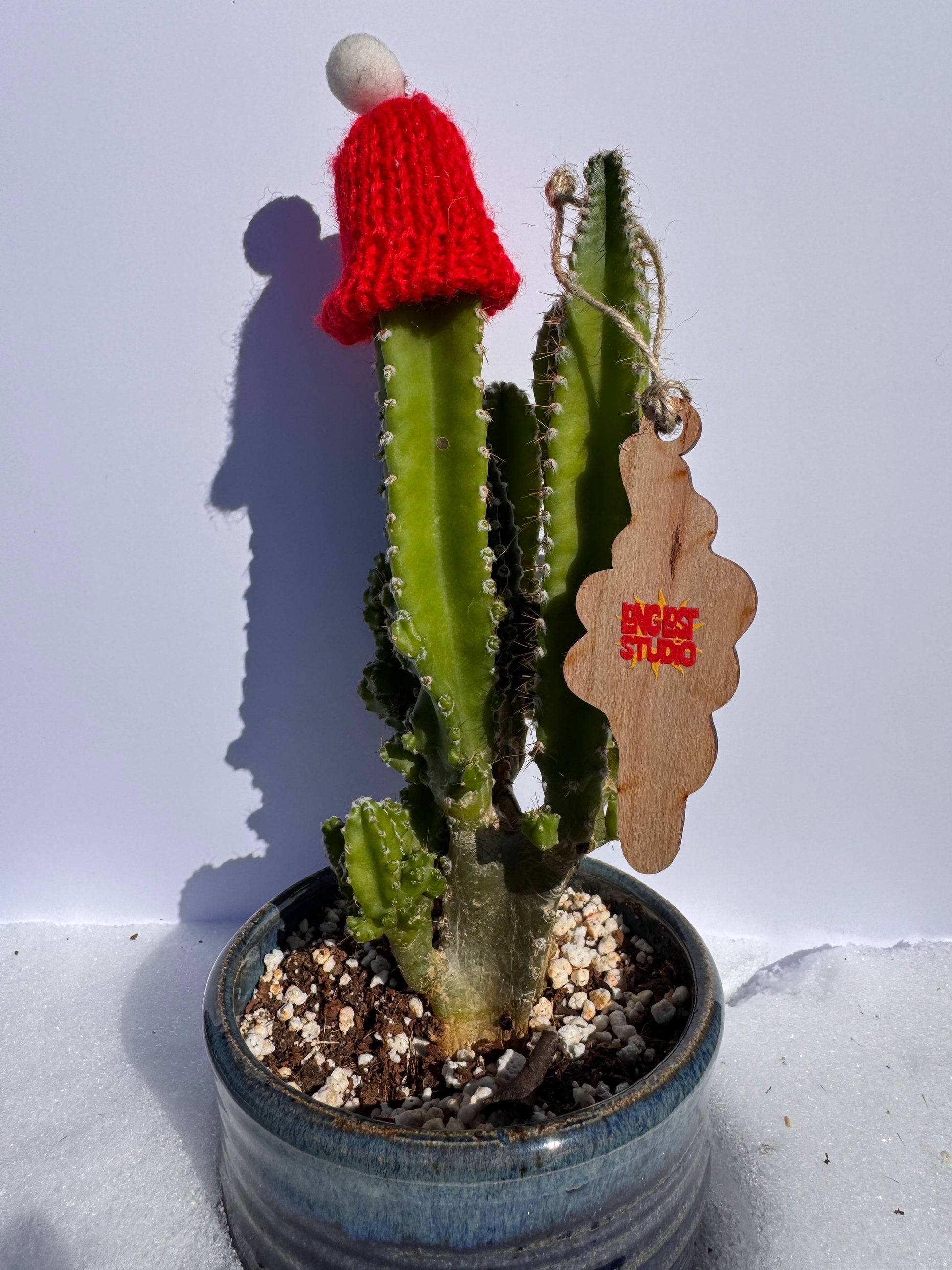 Diving Cowgirl Wood Ornament