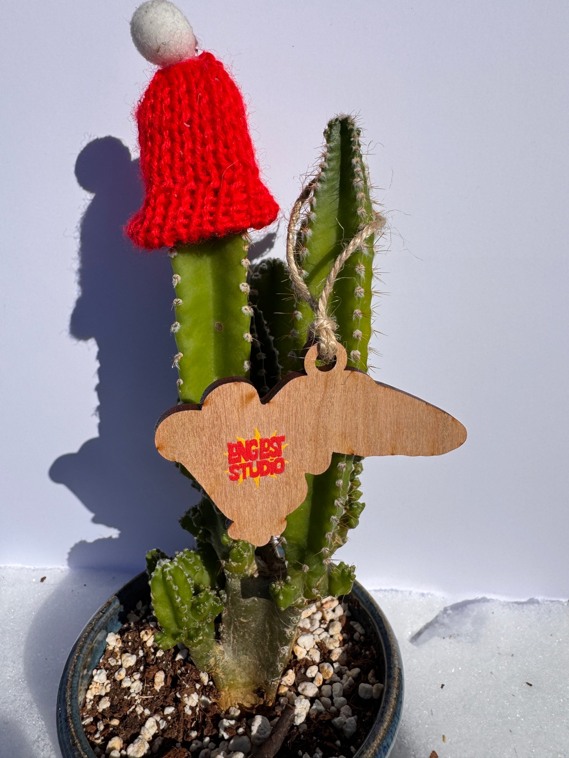 Falcon Wooden Ornament