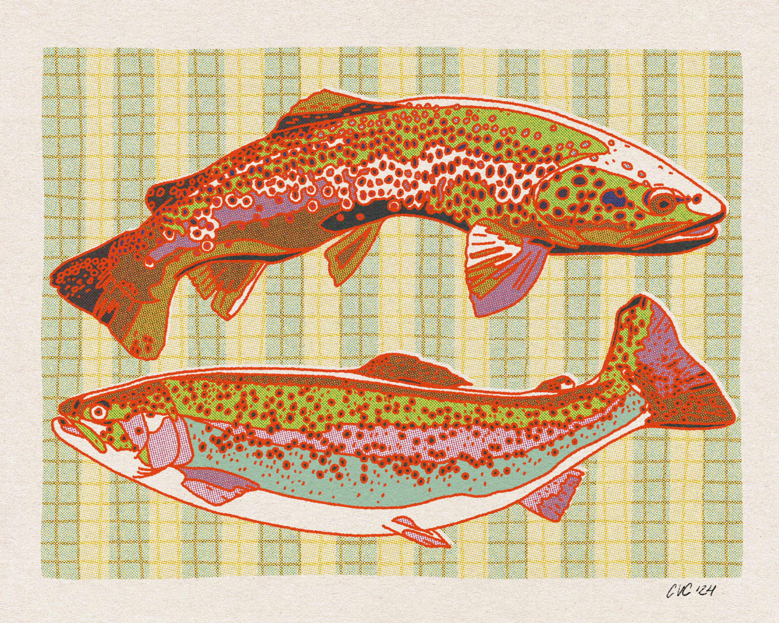 An illustration of two trout, one brown and one rainbow, with detailed patterns on their bodies set against a beige background with vertical lines.