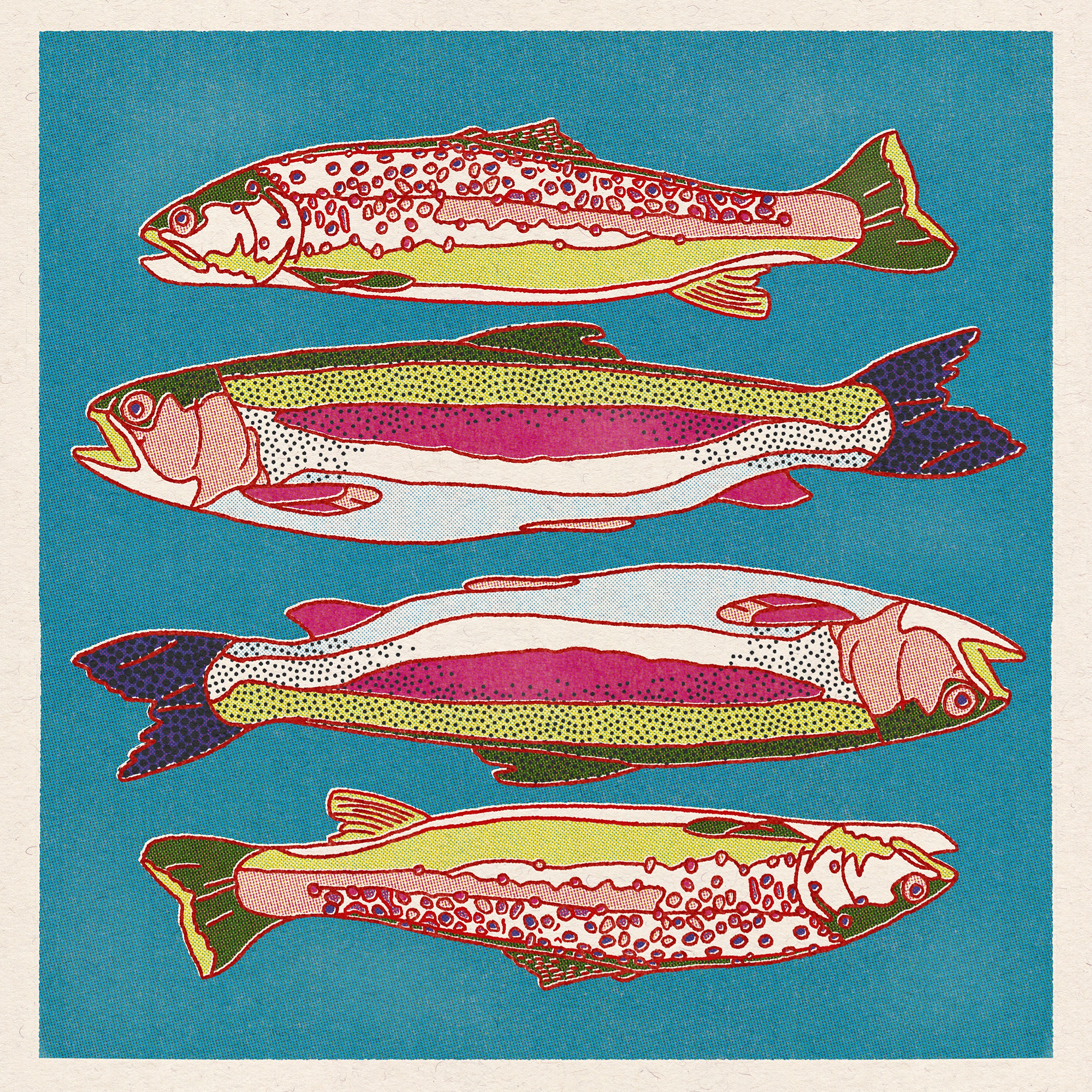 Trout Fish Art Print