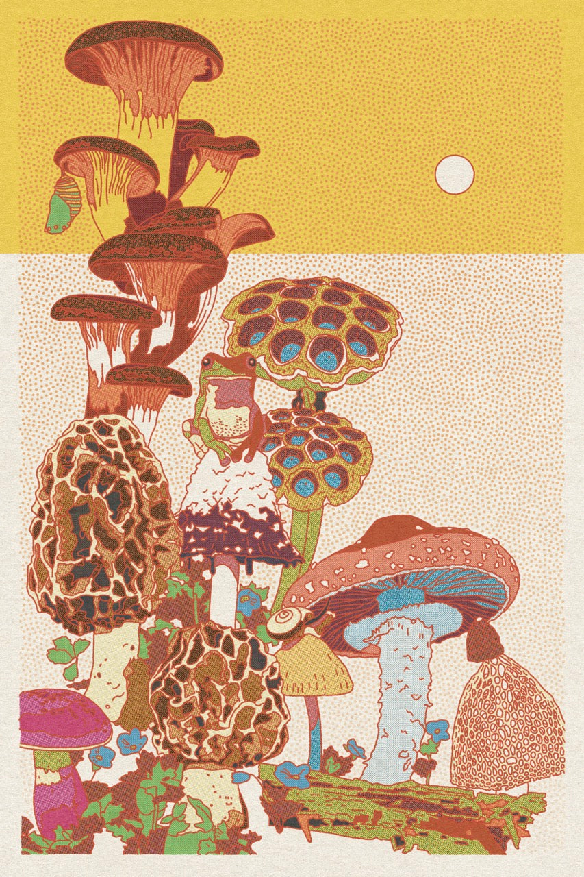 Mushroom Planet Art Print #1 (24" x 36")
