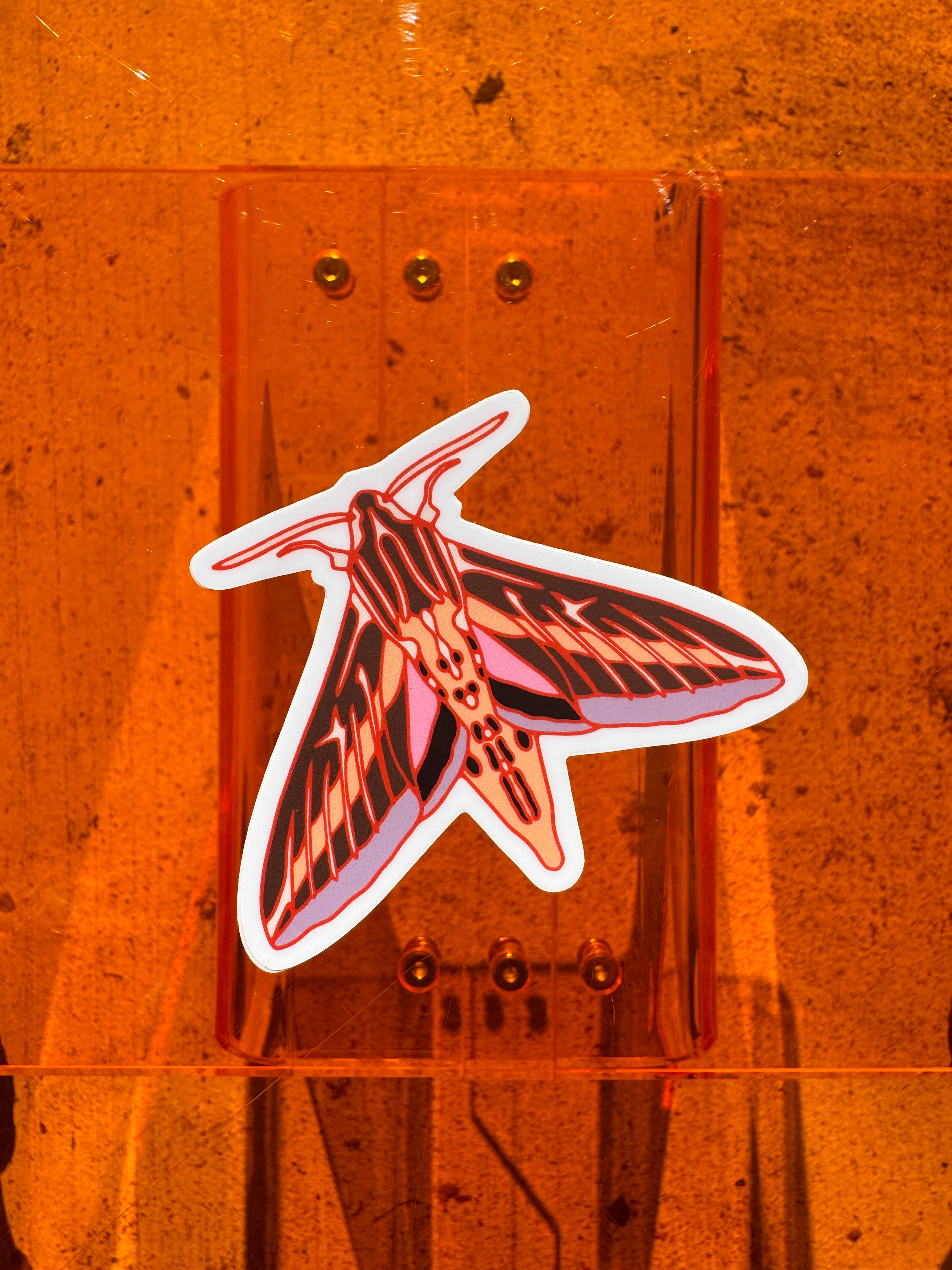 Sphinx Moth Sticker