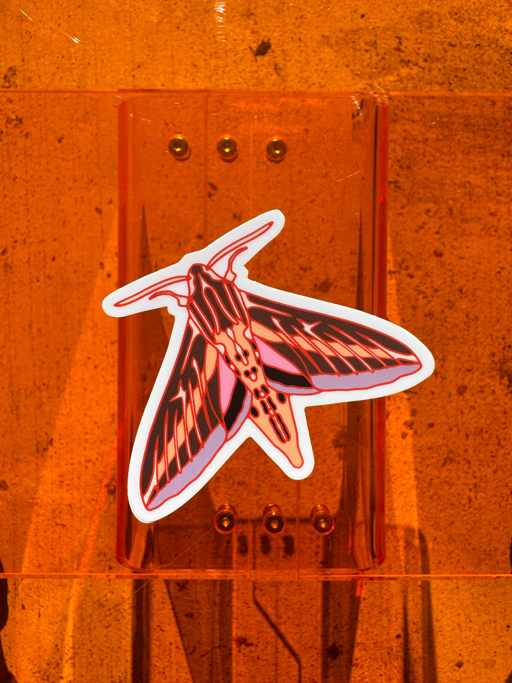 Sphinx Moth Sticker