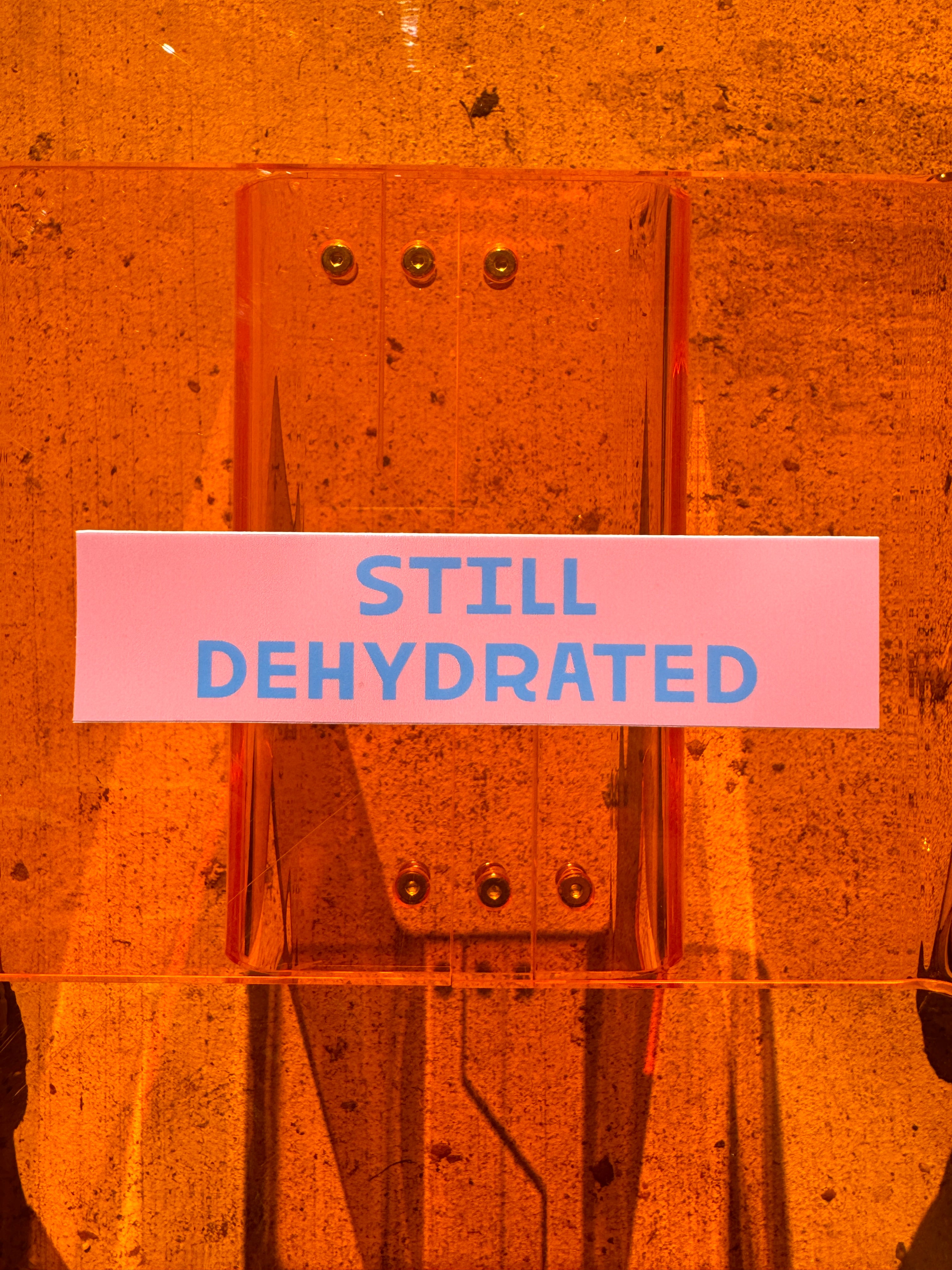 Still Dehydrated Sticker