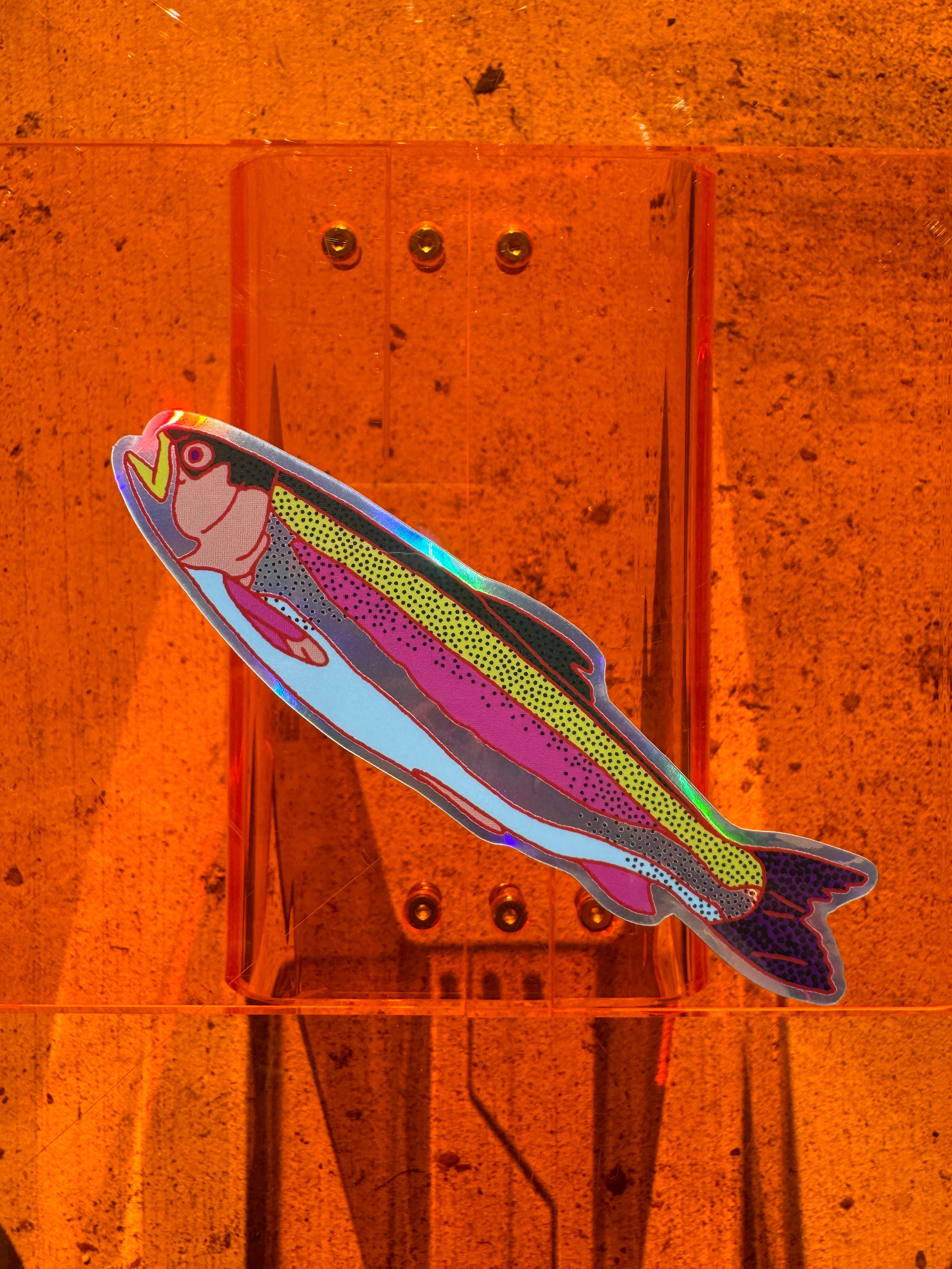 Rainbow Trout Sticker