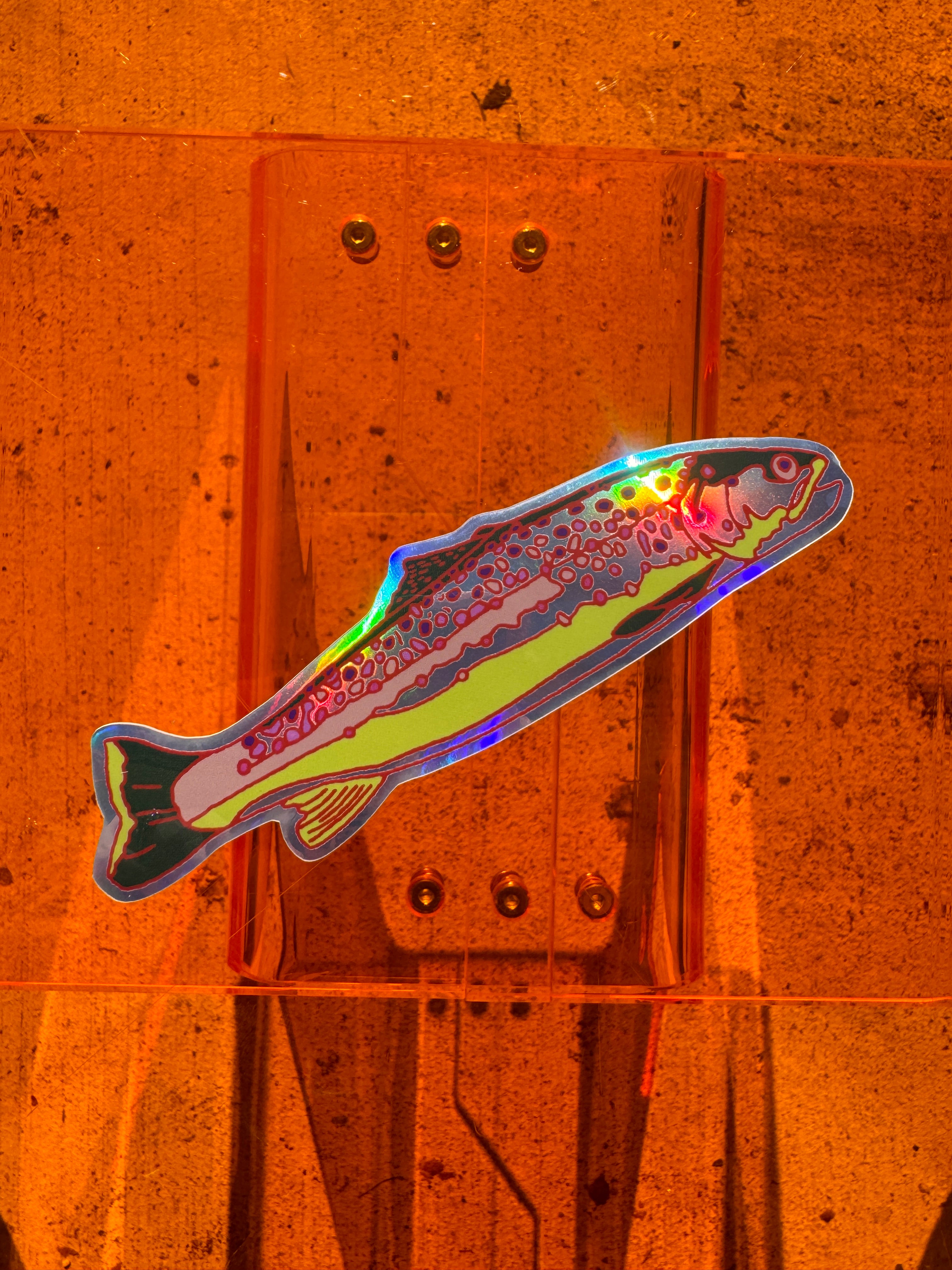 Brown Trout Sticker