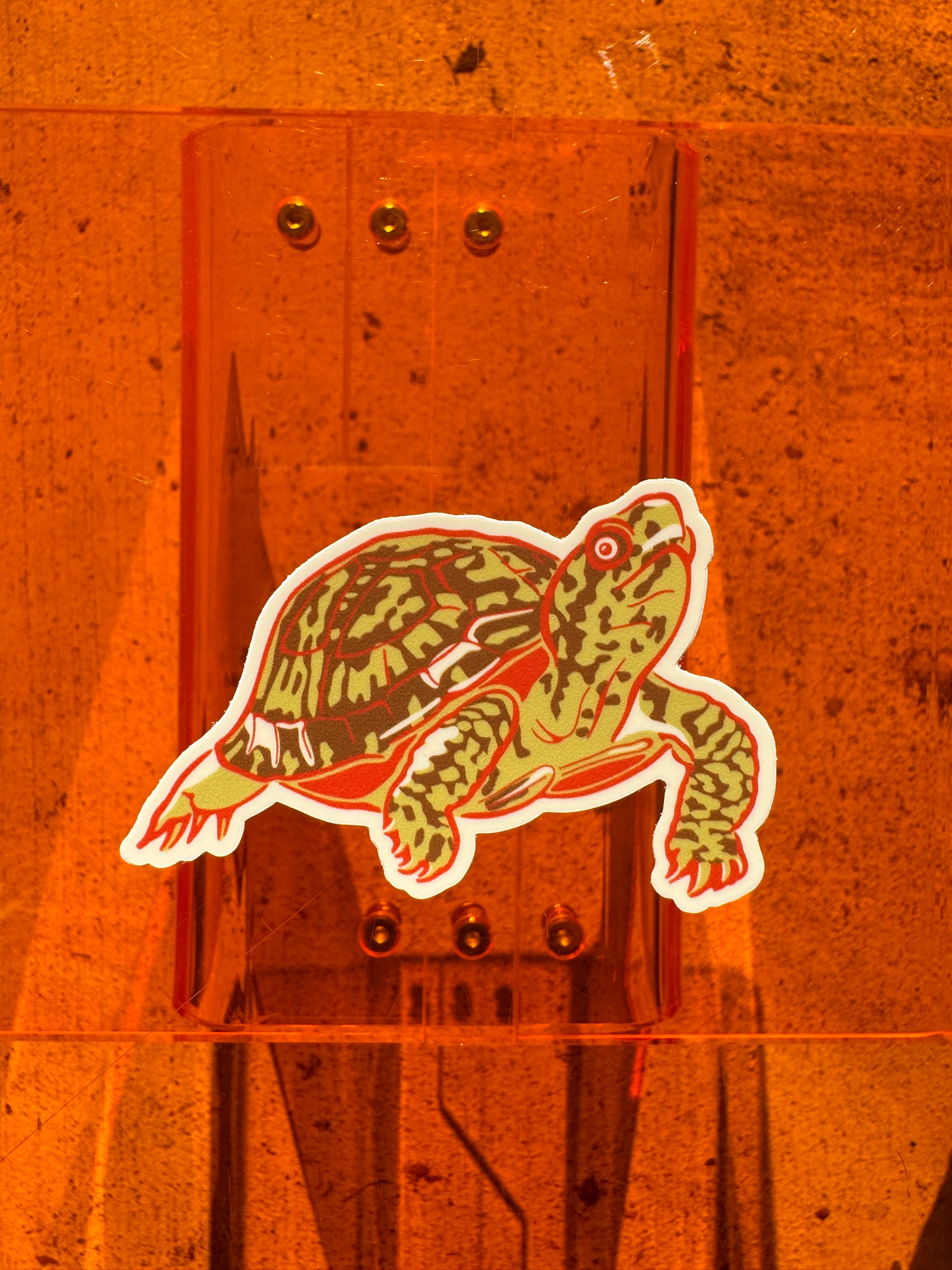 Turtle Sticker