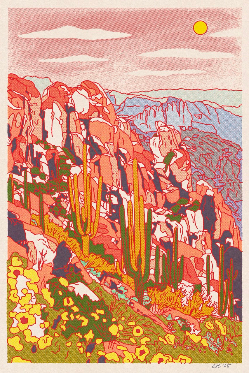 Desert Spring Art Print