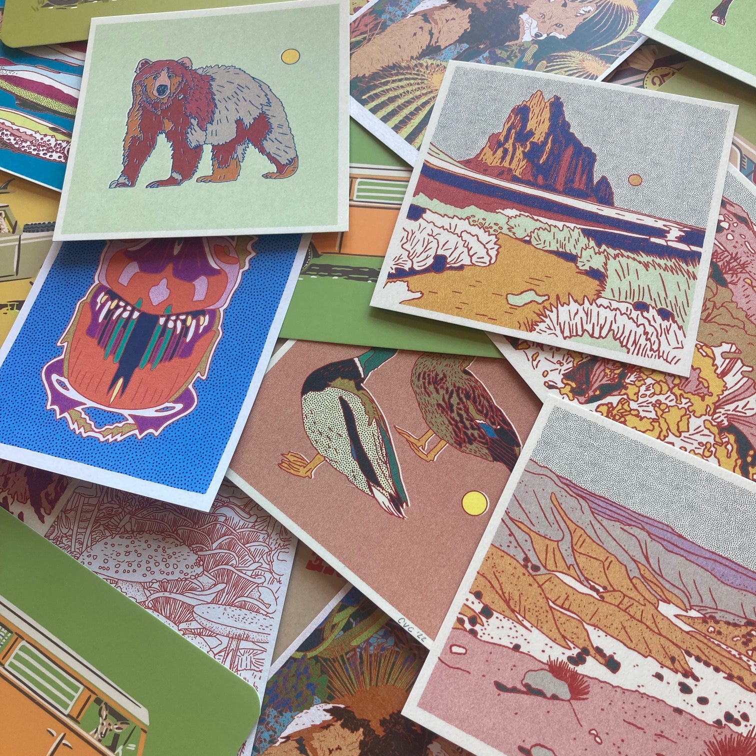 Mystery Postcard Pack
