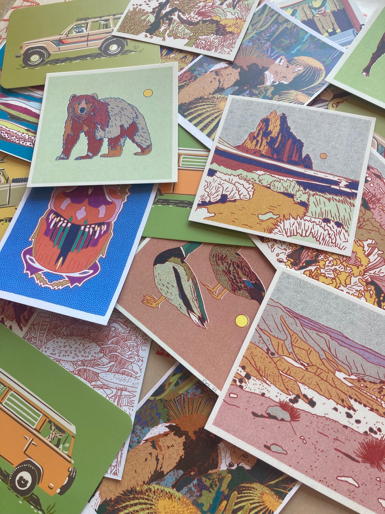 Mystery Postcard Pack