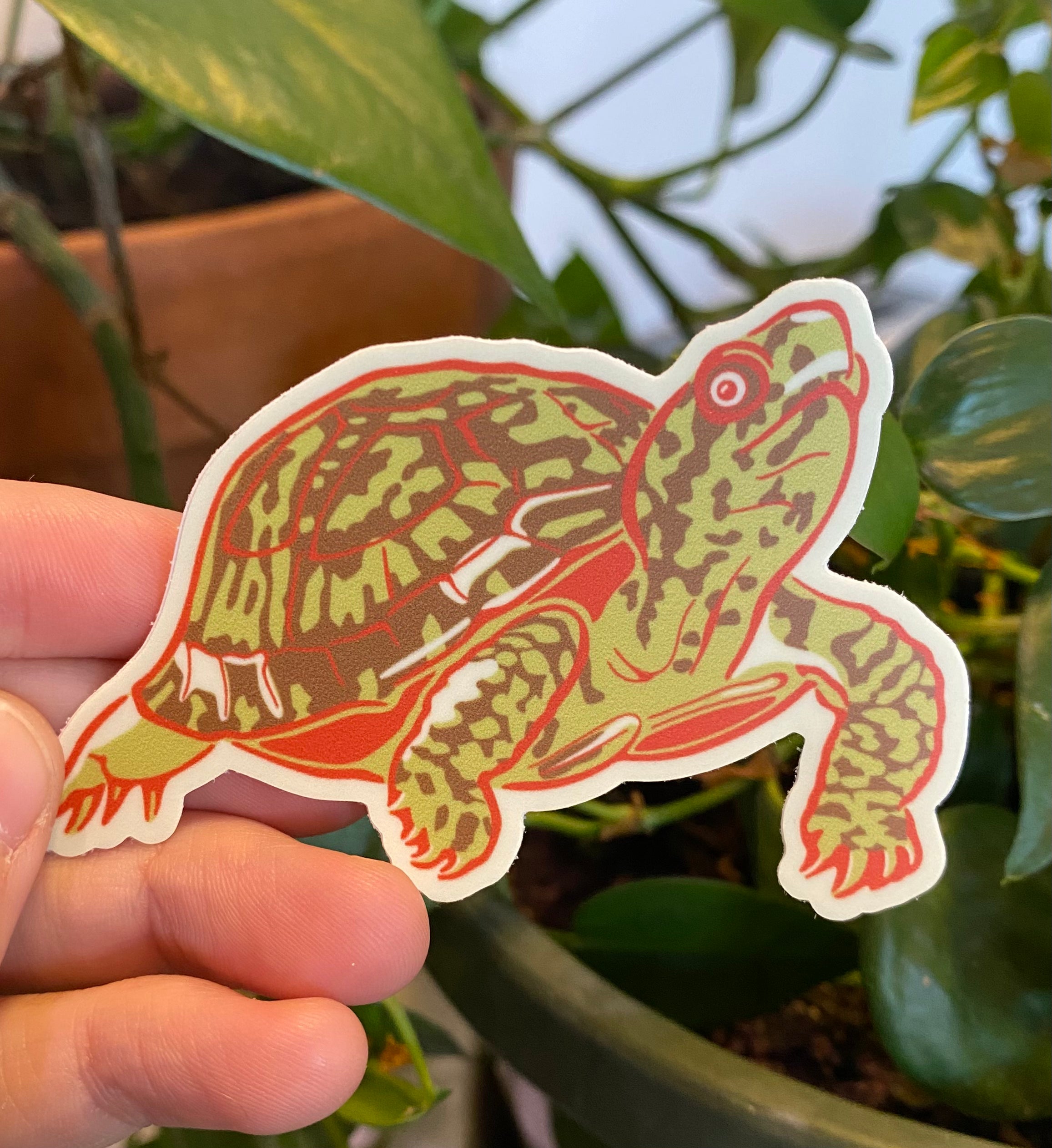 Turtle Sticker
