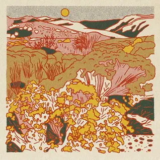 Morning Desert Postcards- Single Design