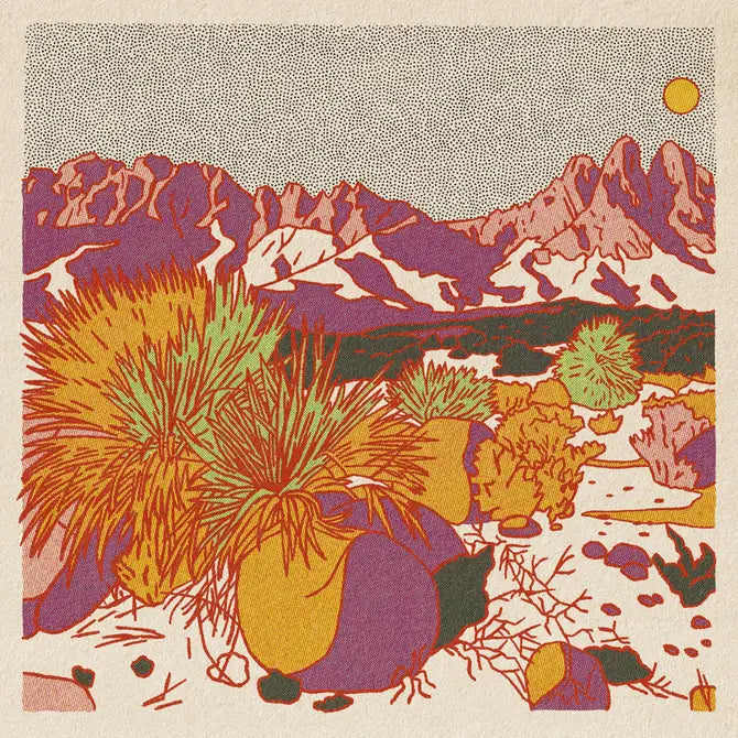 Morning Desert Postcards- Single Design