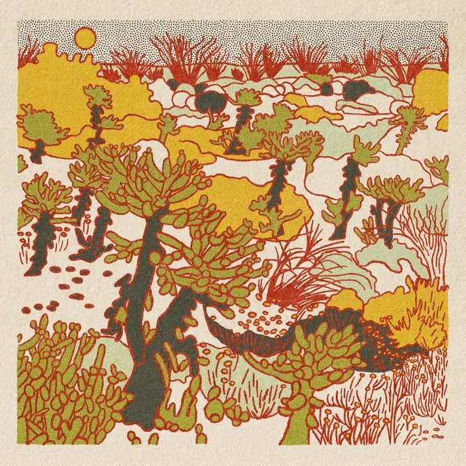 Morning Desert Postcards- Single Design