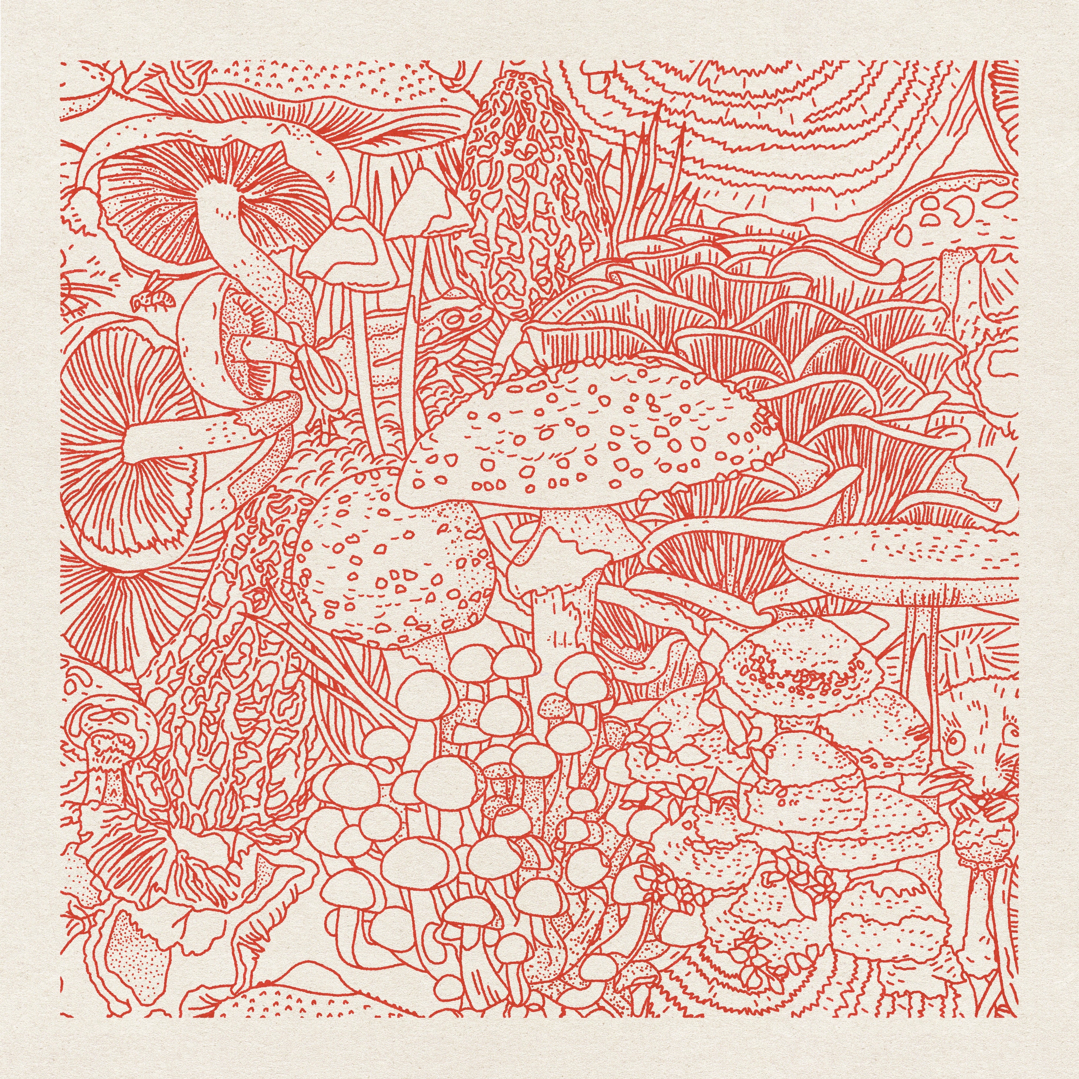 Misc. Postcards - Single Design