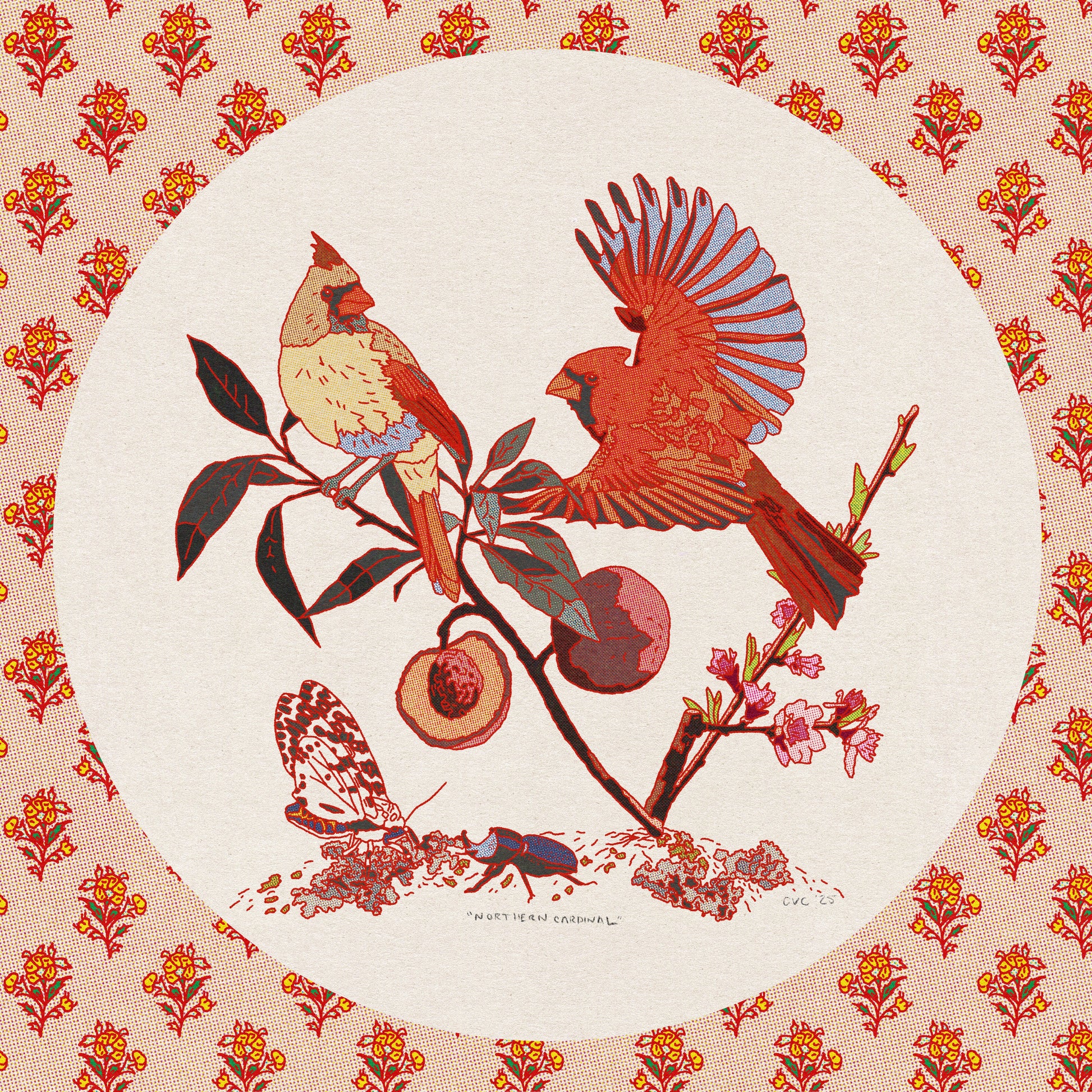 Northern Cardinal Print