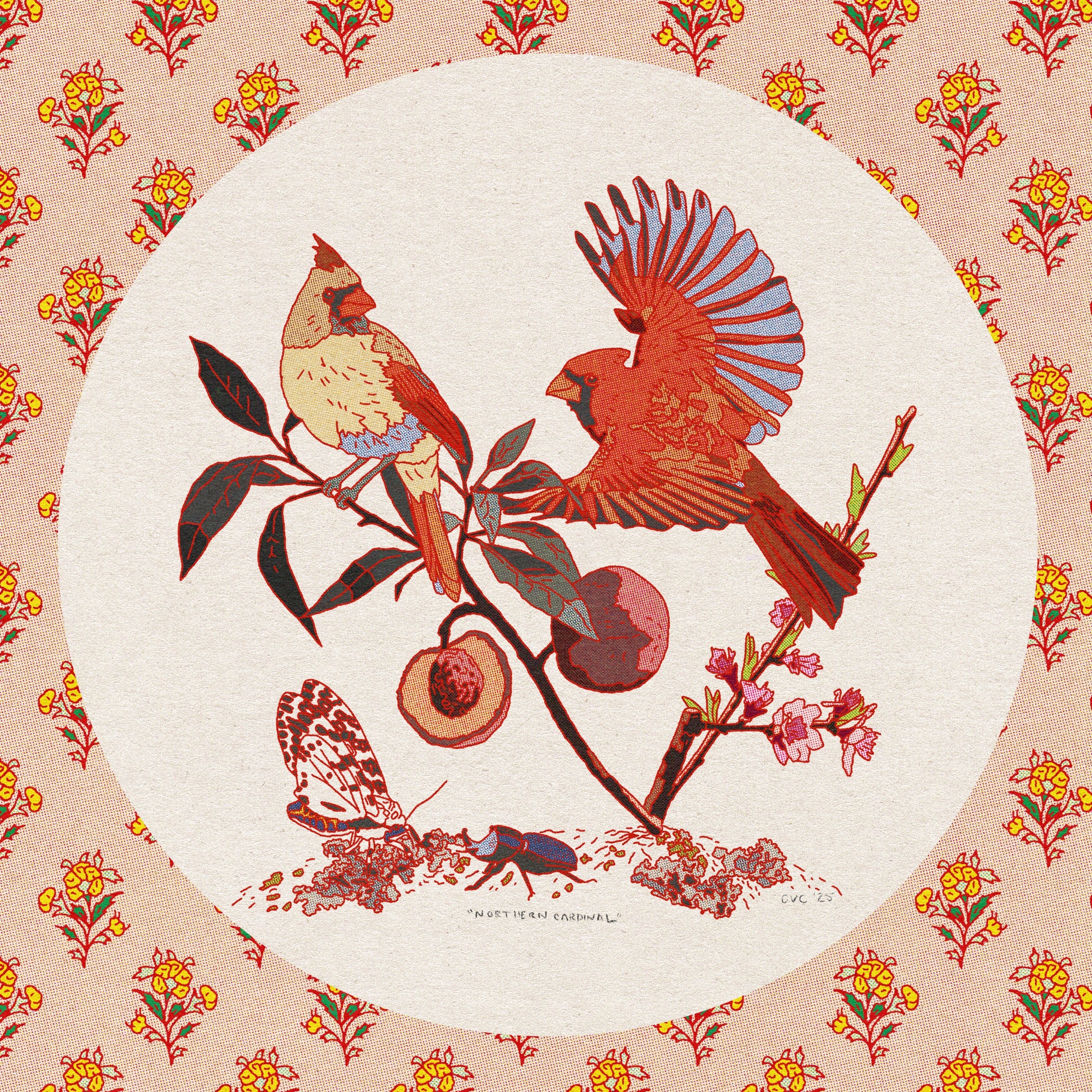Northern Cardinal Print