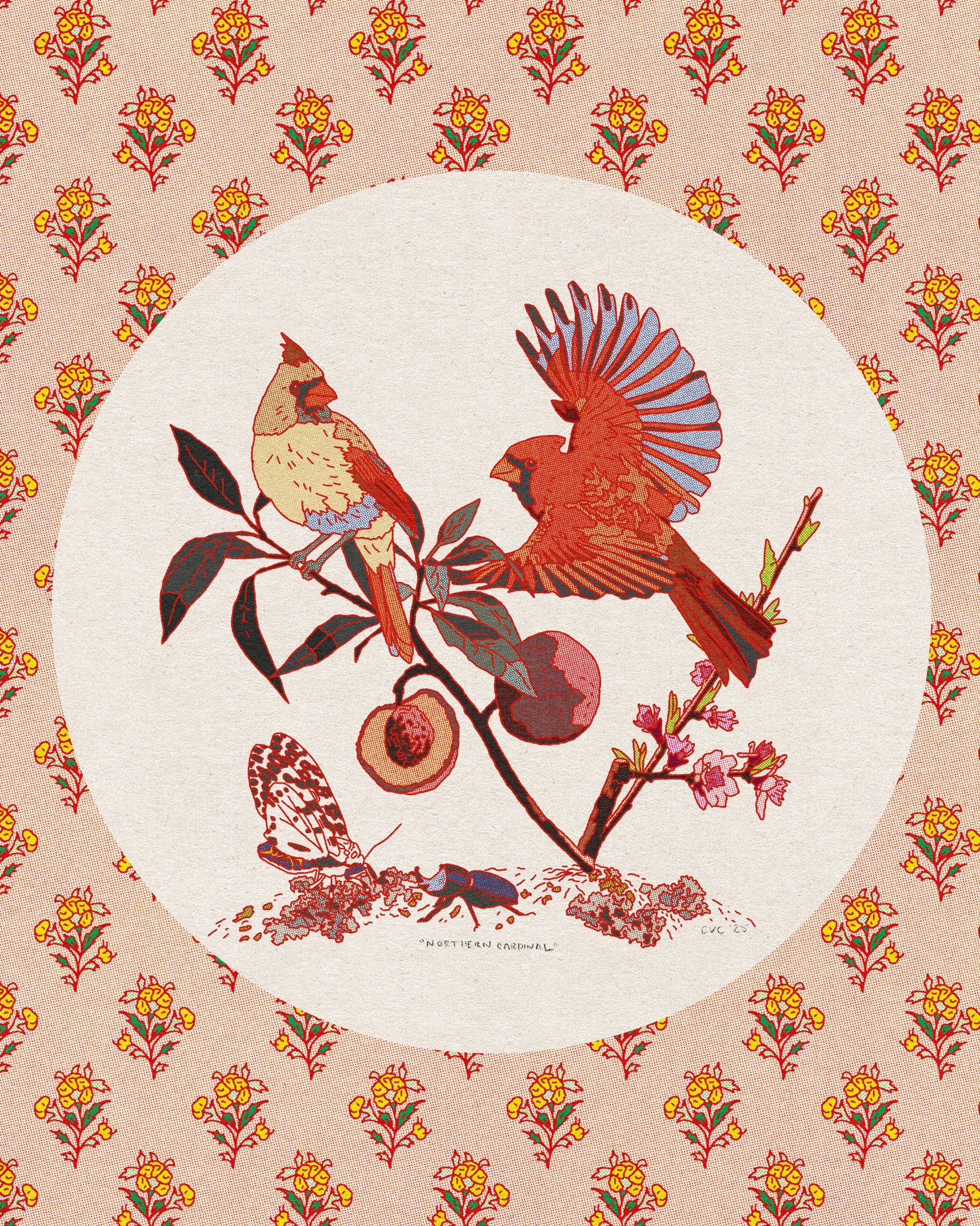 Northern Cardinal Print