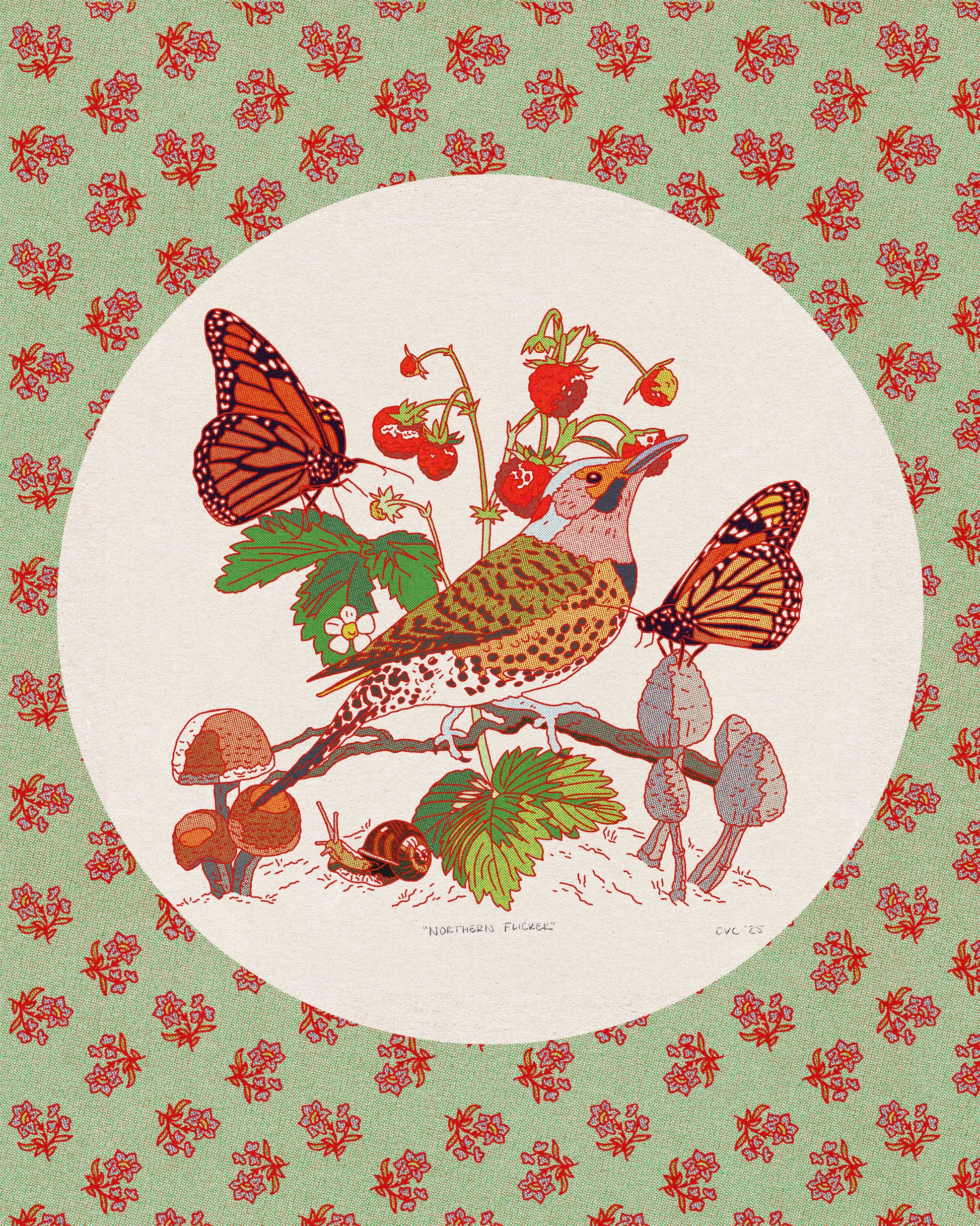 Northern Flicker Print