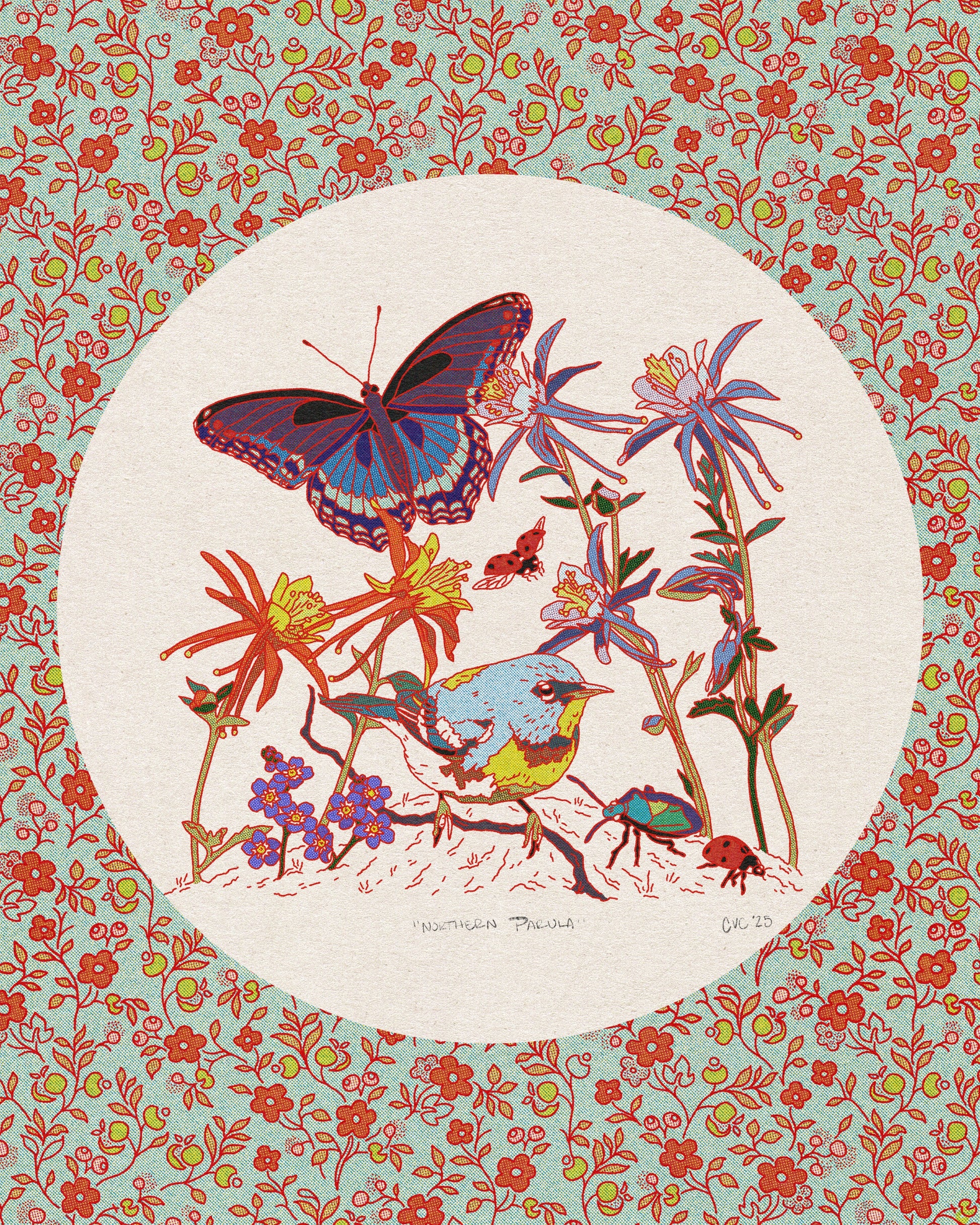 Northern Parula Print