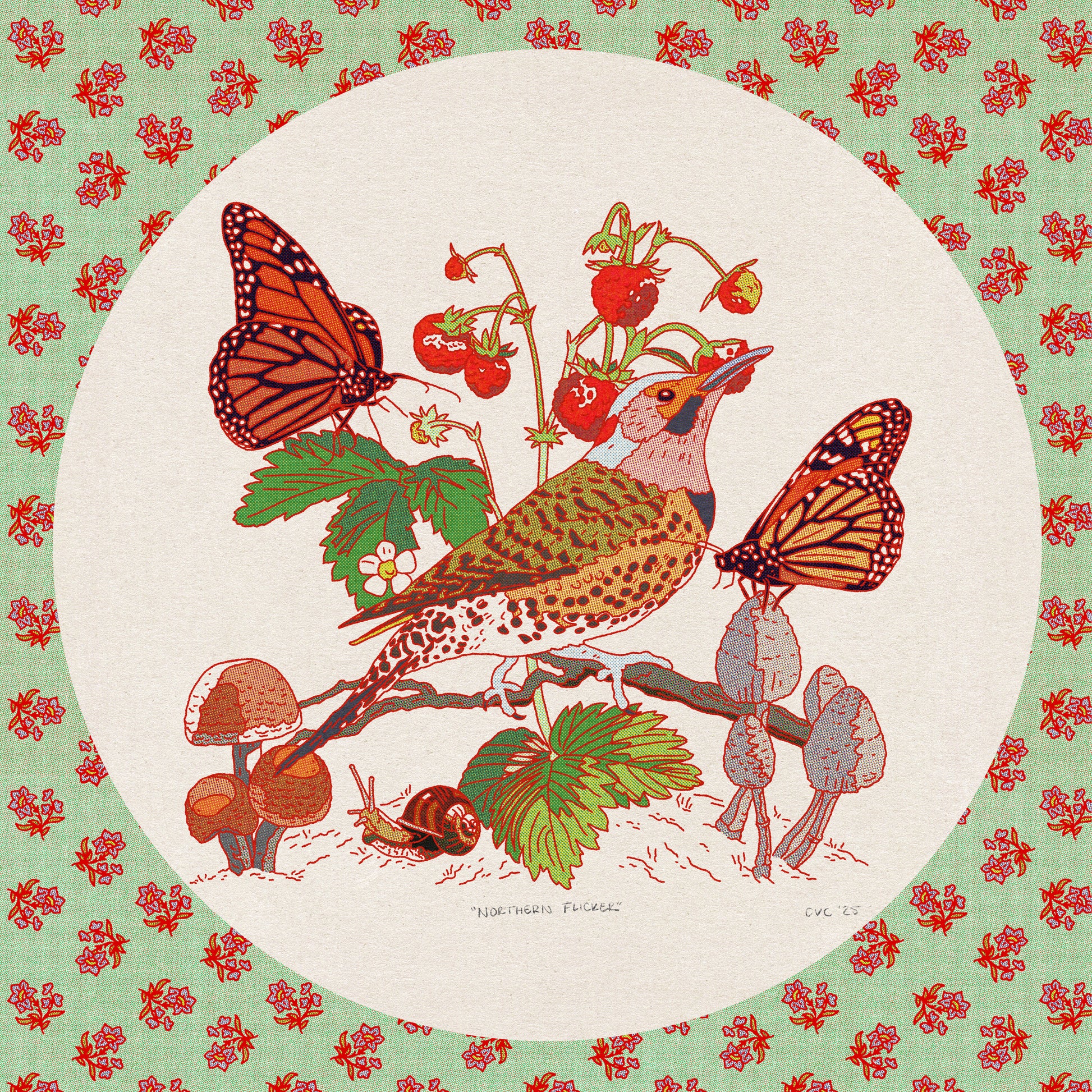 Northern Flicker Print