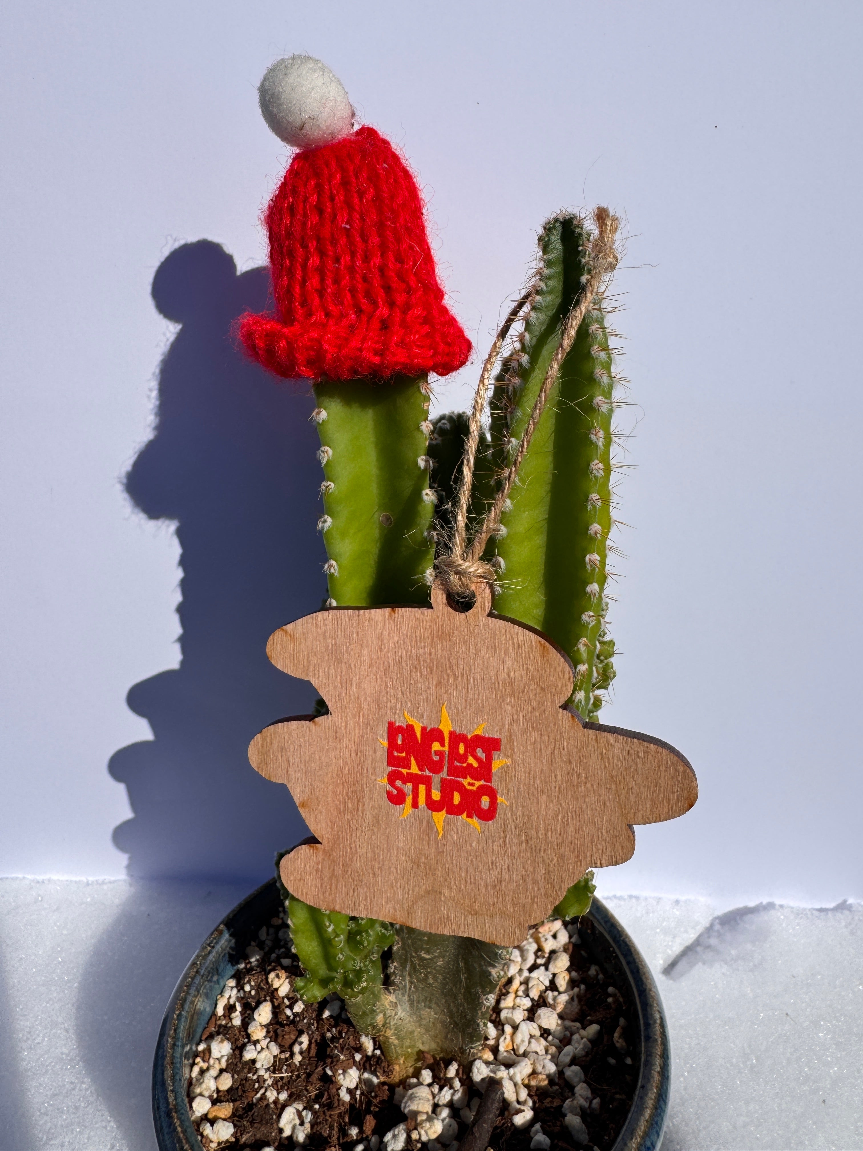 Pink Oyster Mushroom Wooden Ornament