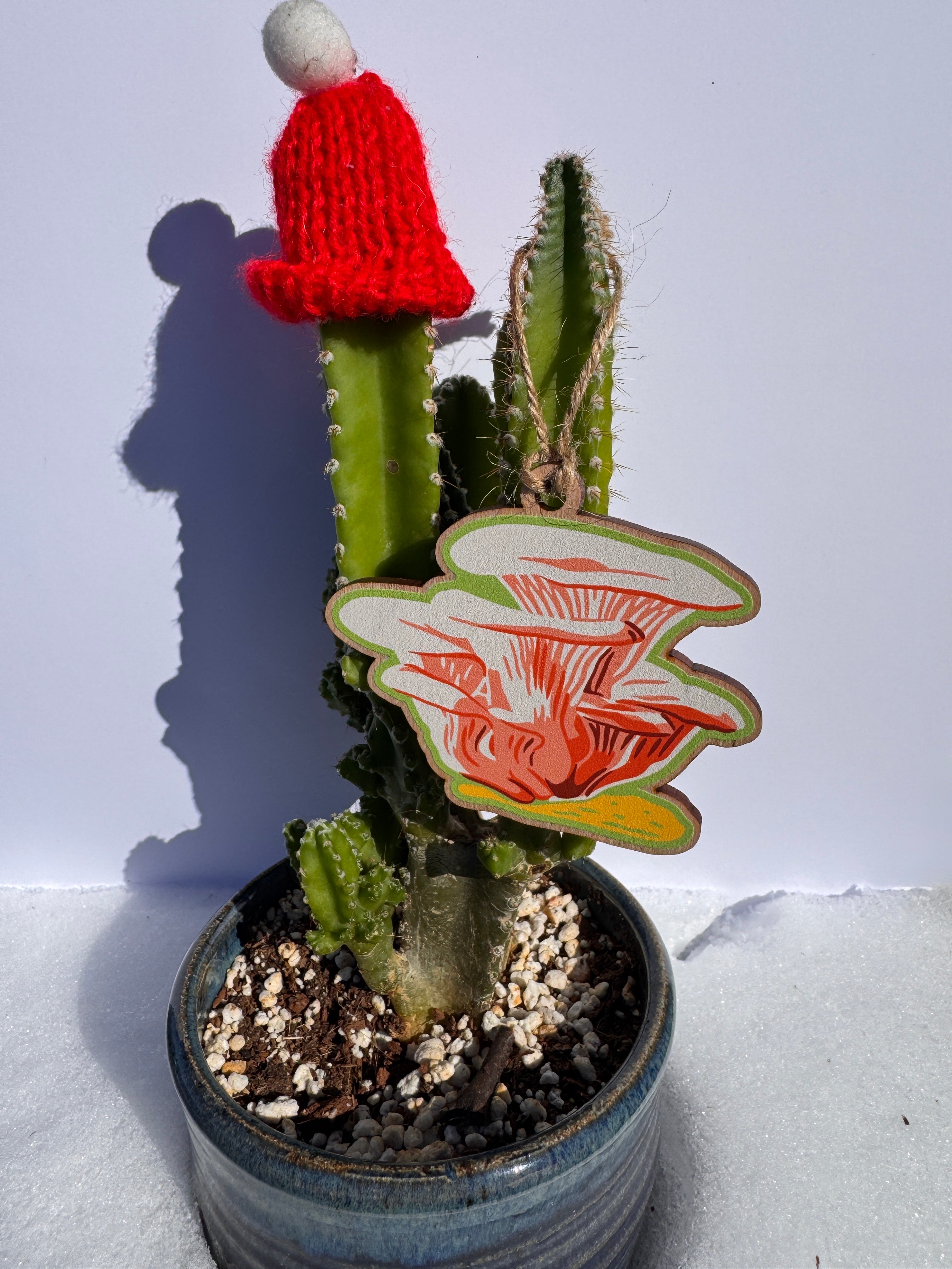 Pink Oyster Mushroom Wooden Ornament