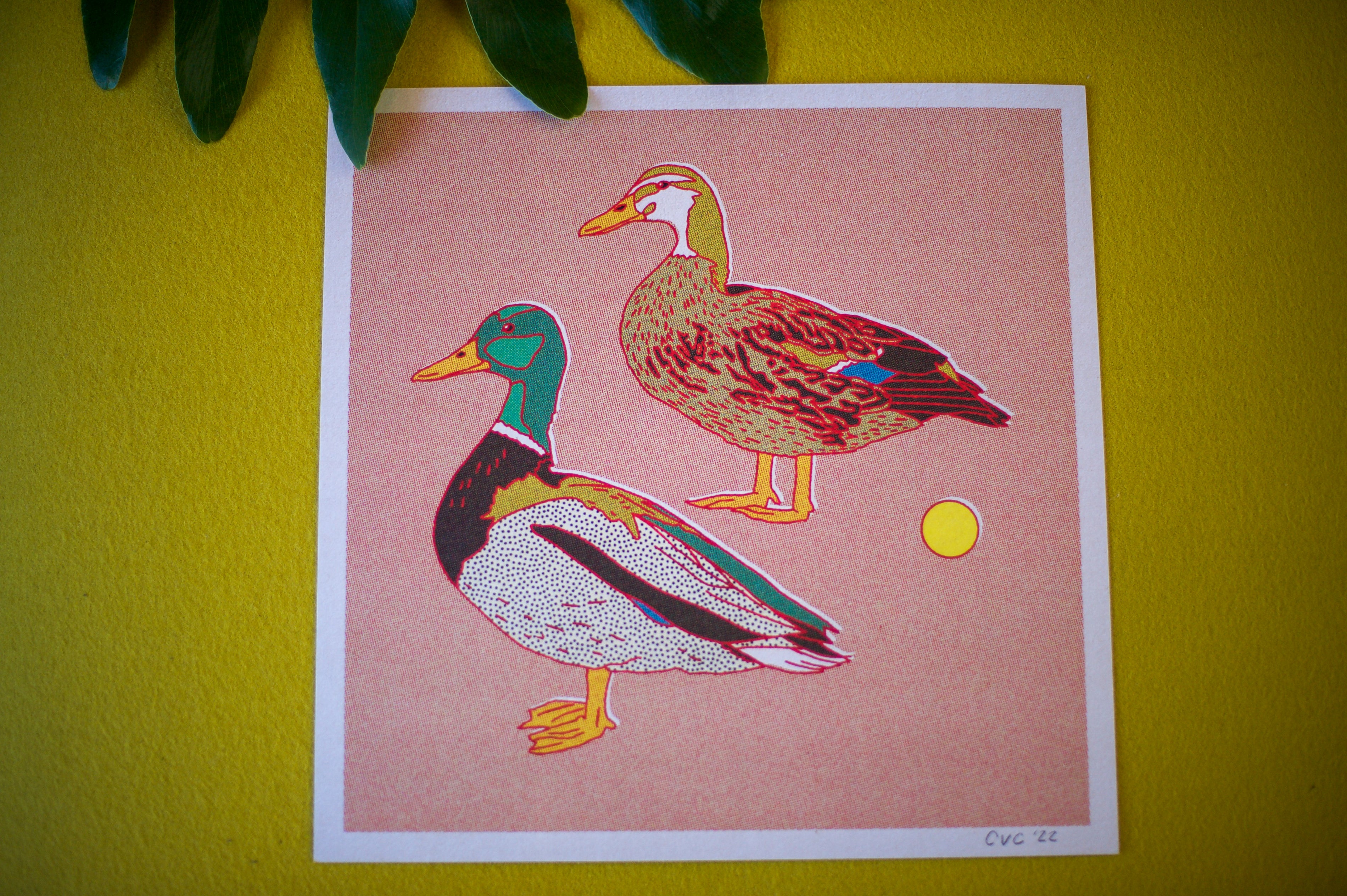 Duck Art Print