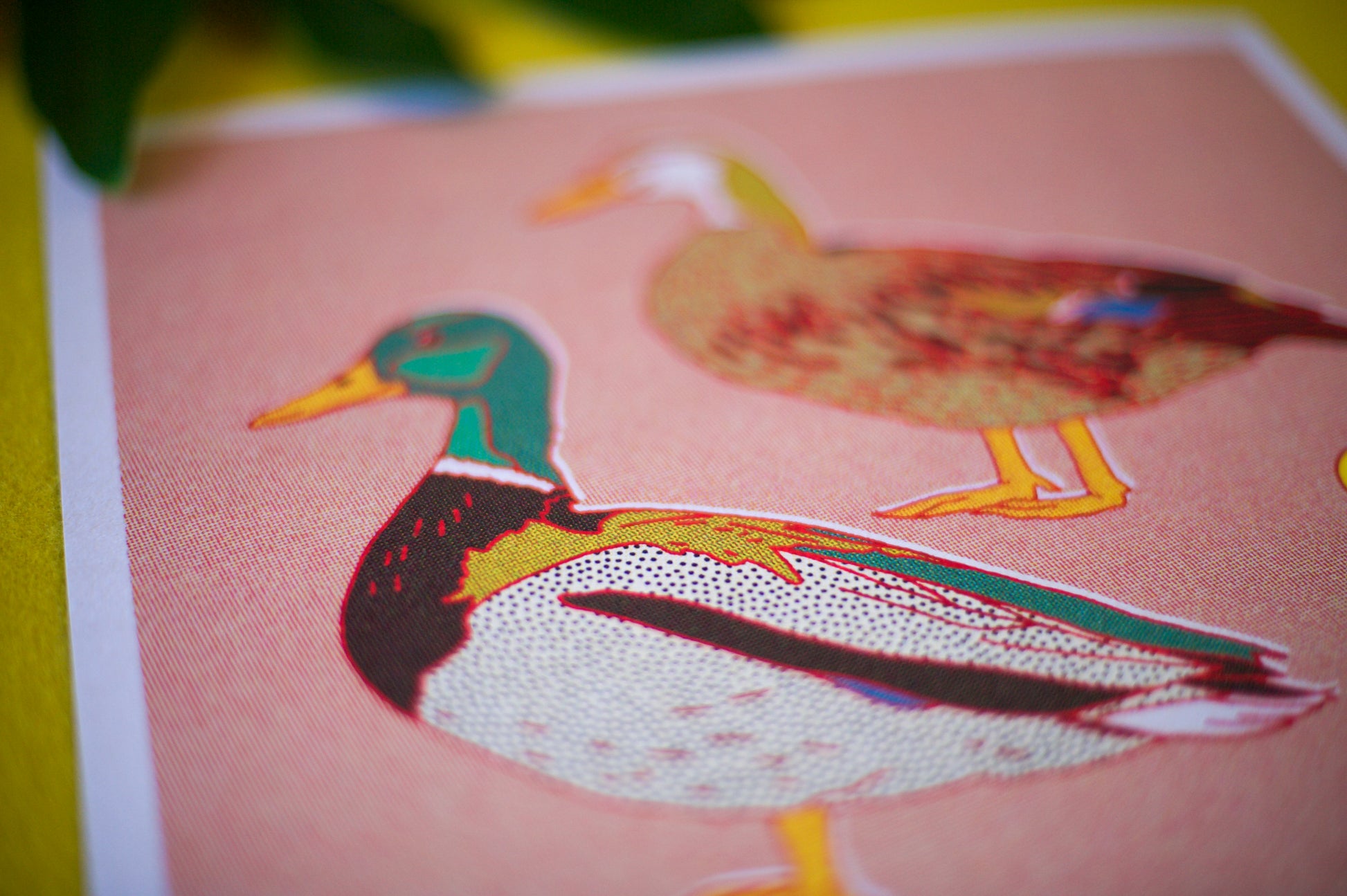 Duck Art Print