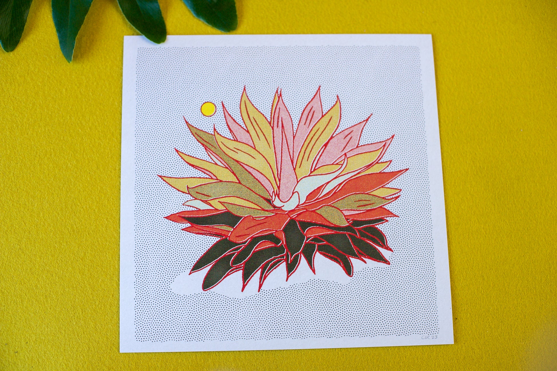 Rainbow Aloe Art Print