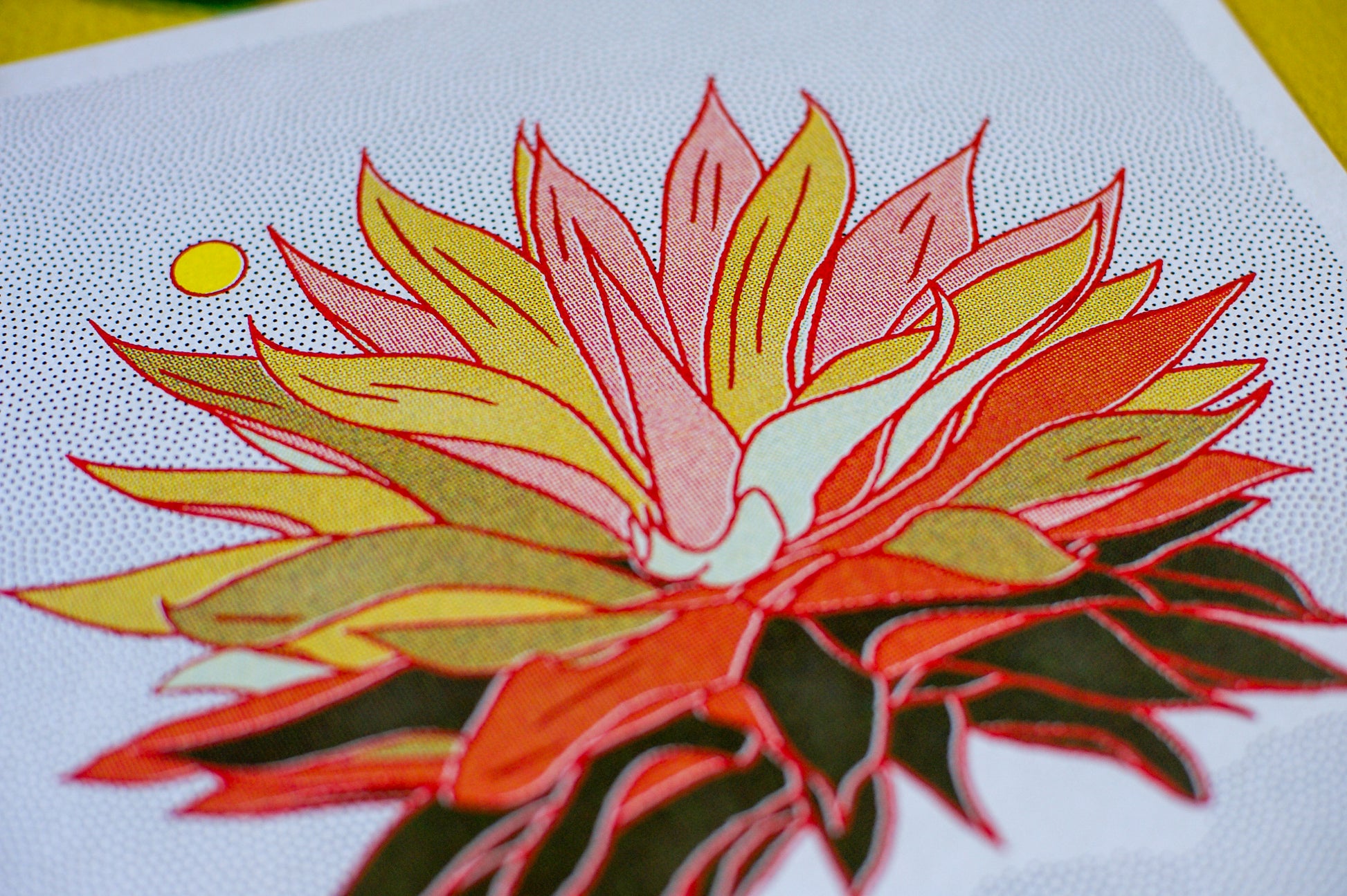 Rainbow Aloe Art Print
