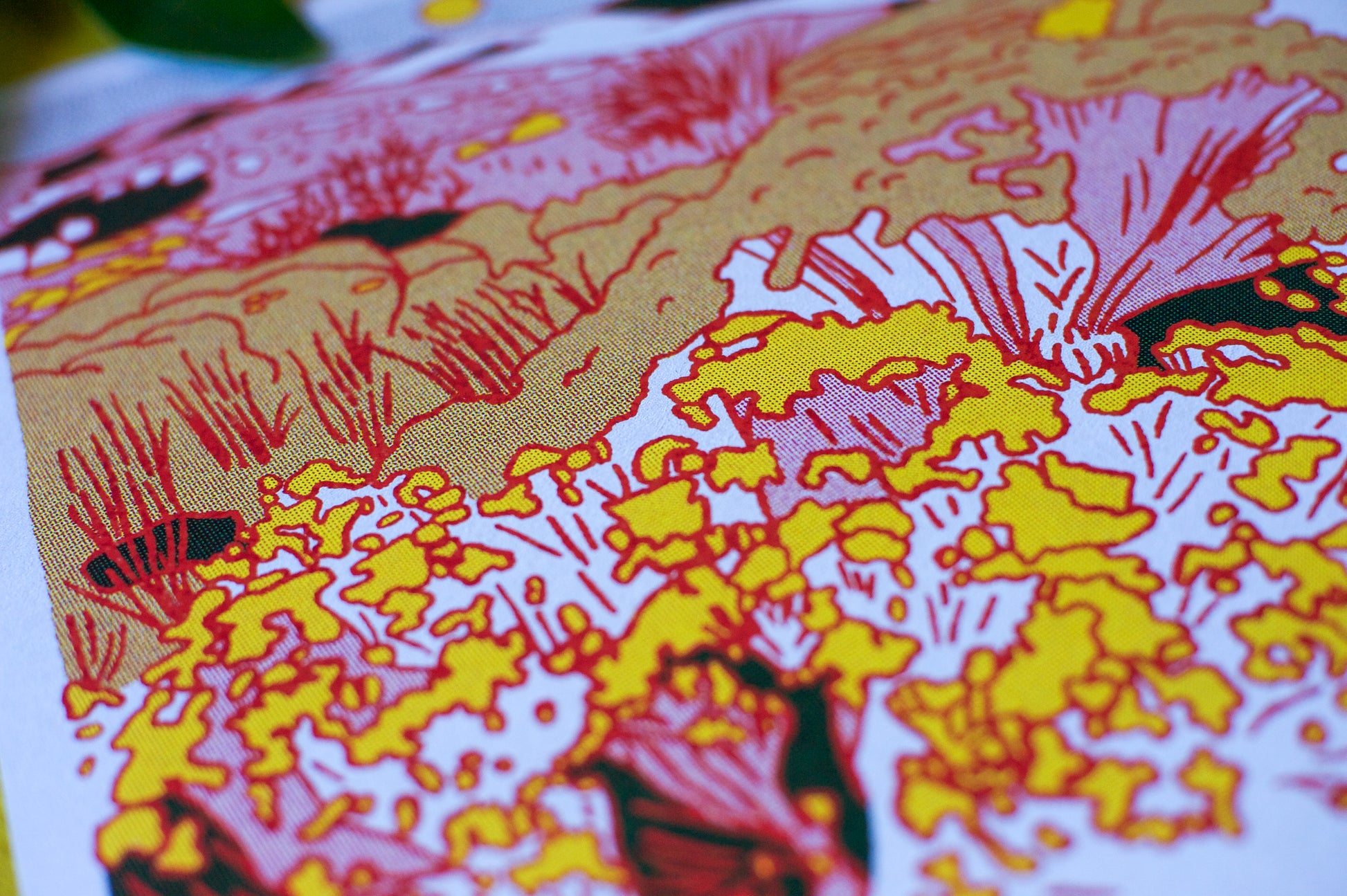 Close up of physical print showing half-tone texture and colors.