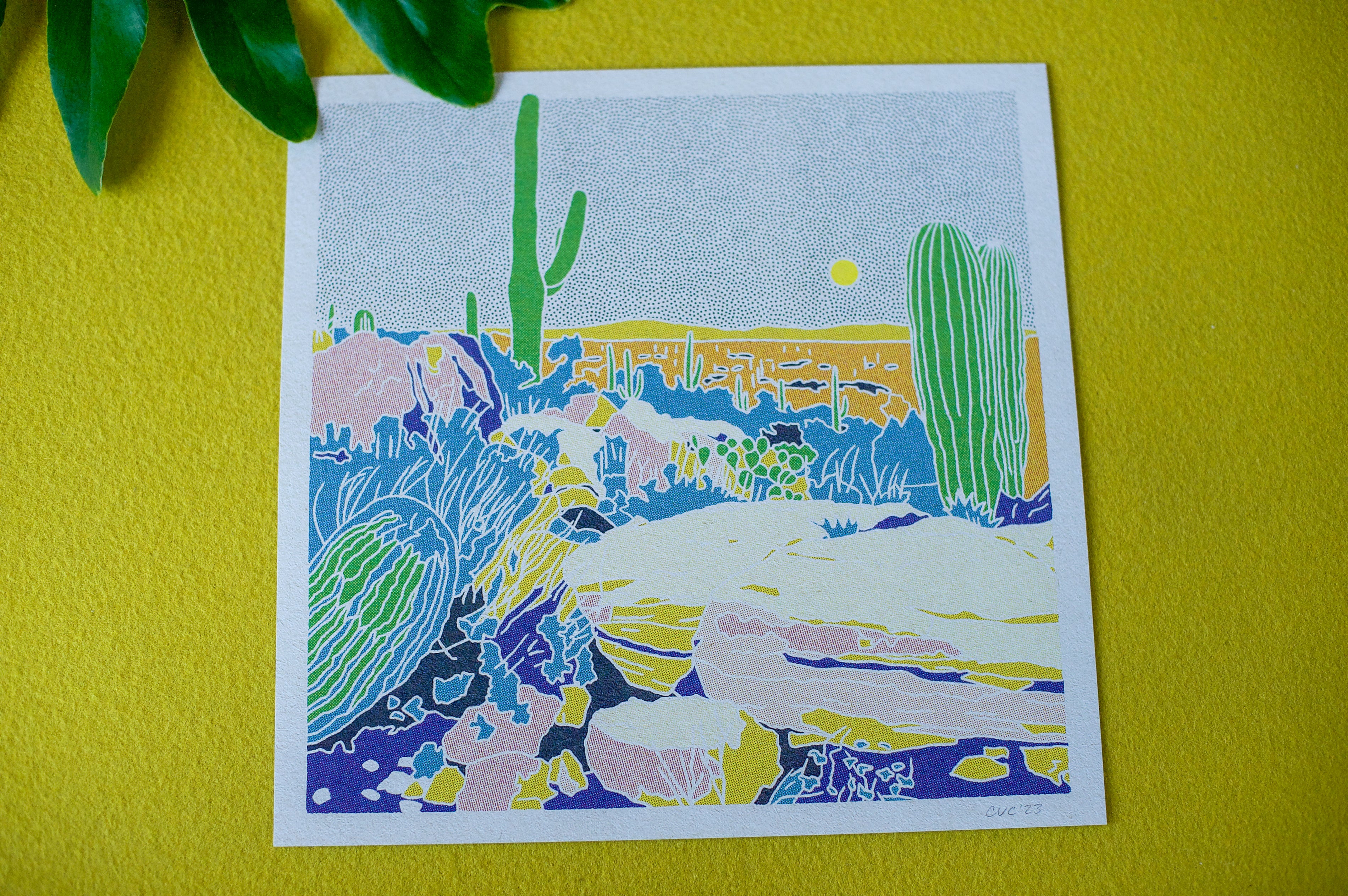 Desert Mountain #33
