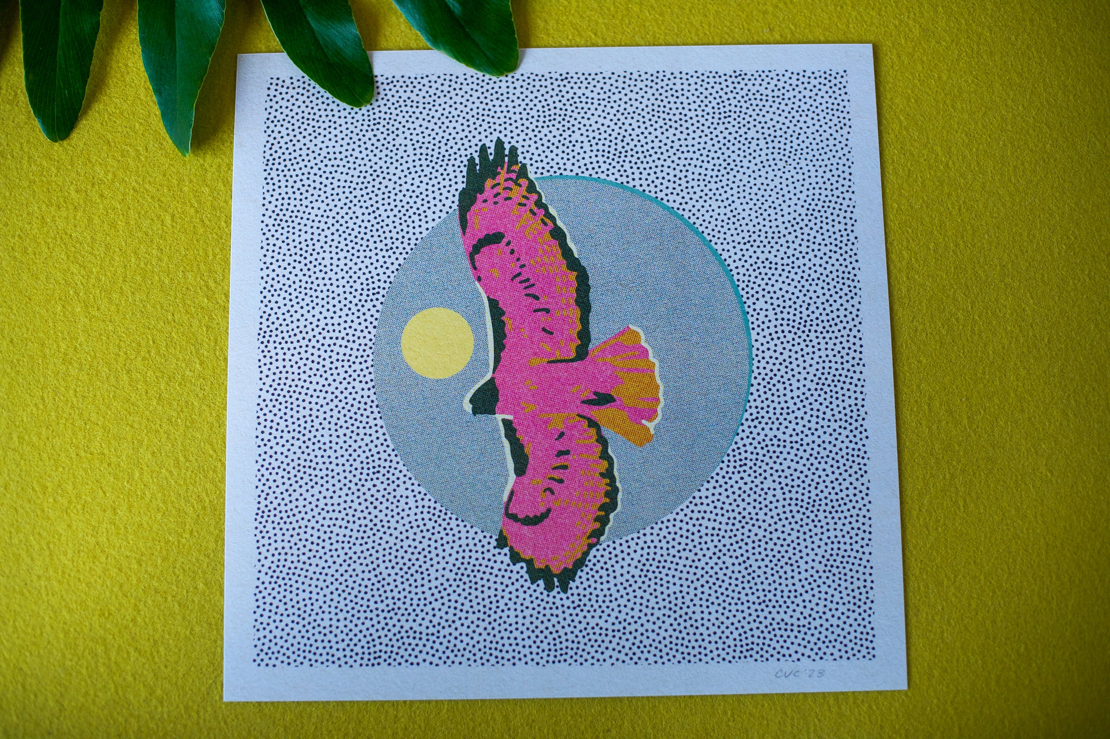 Hawk Art Print