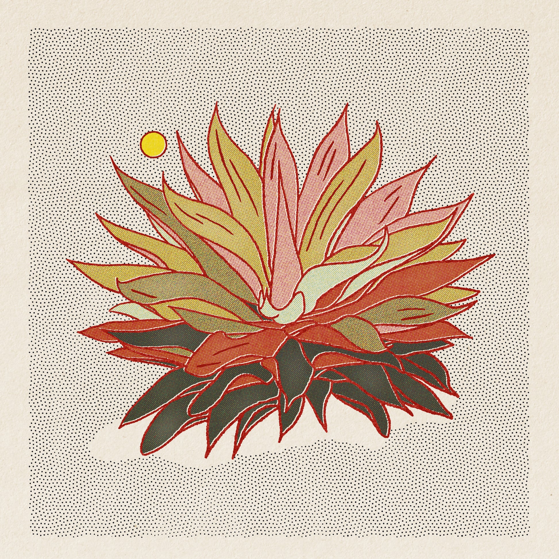 Rainbow Aloe Art Print