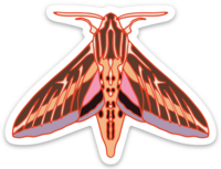Sphinx Moth Sticker