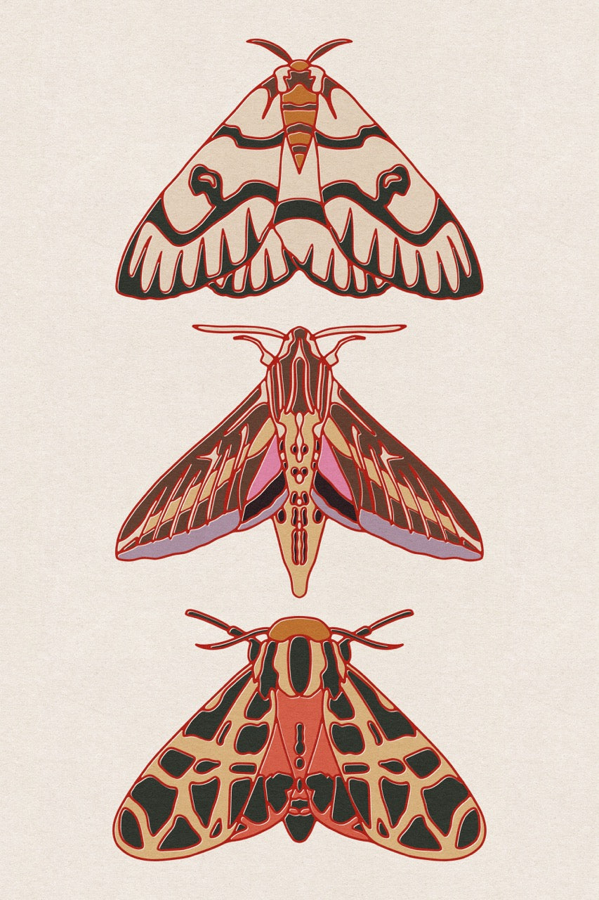 Three Moth Art Print