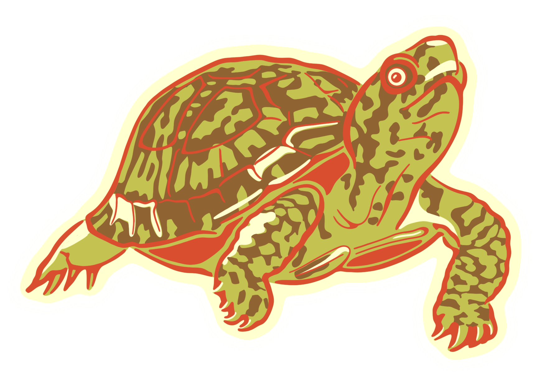Turtle Wooden Ornament