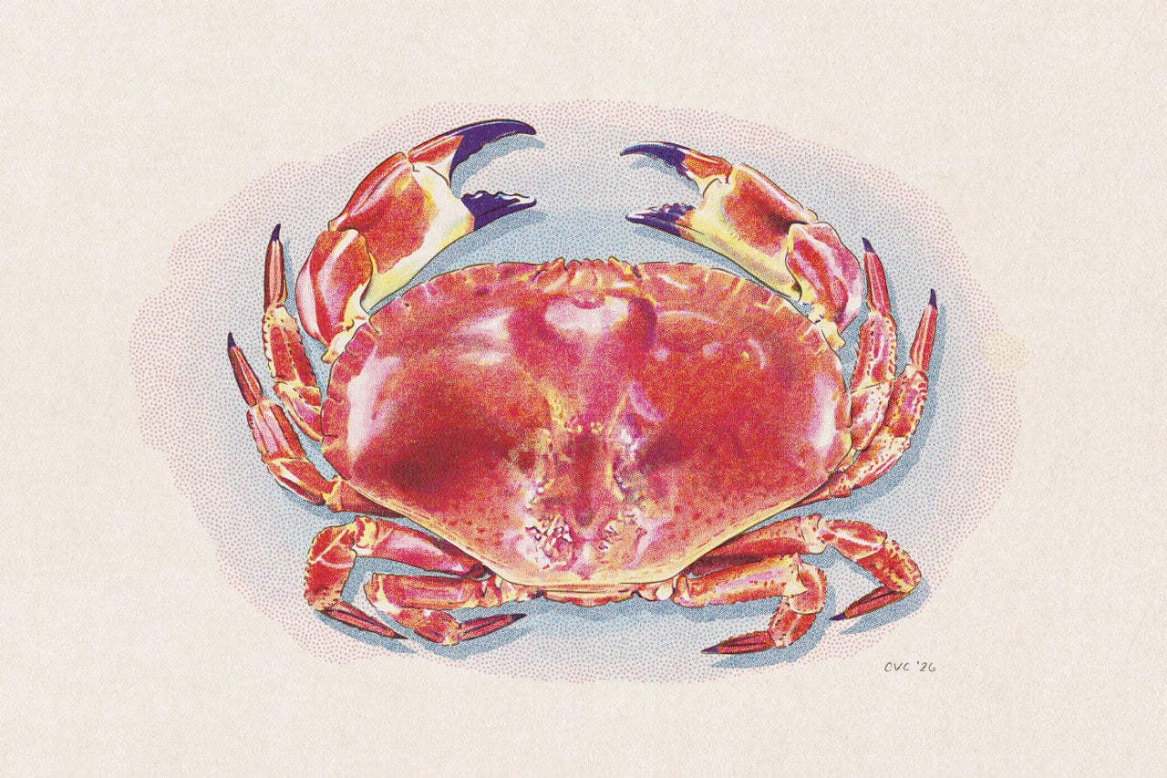 Vintage Dungeness Crab Print