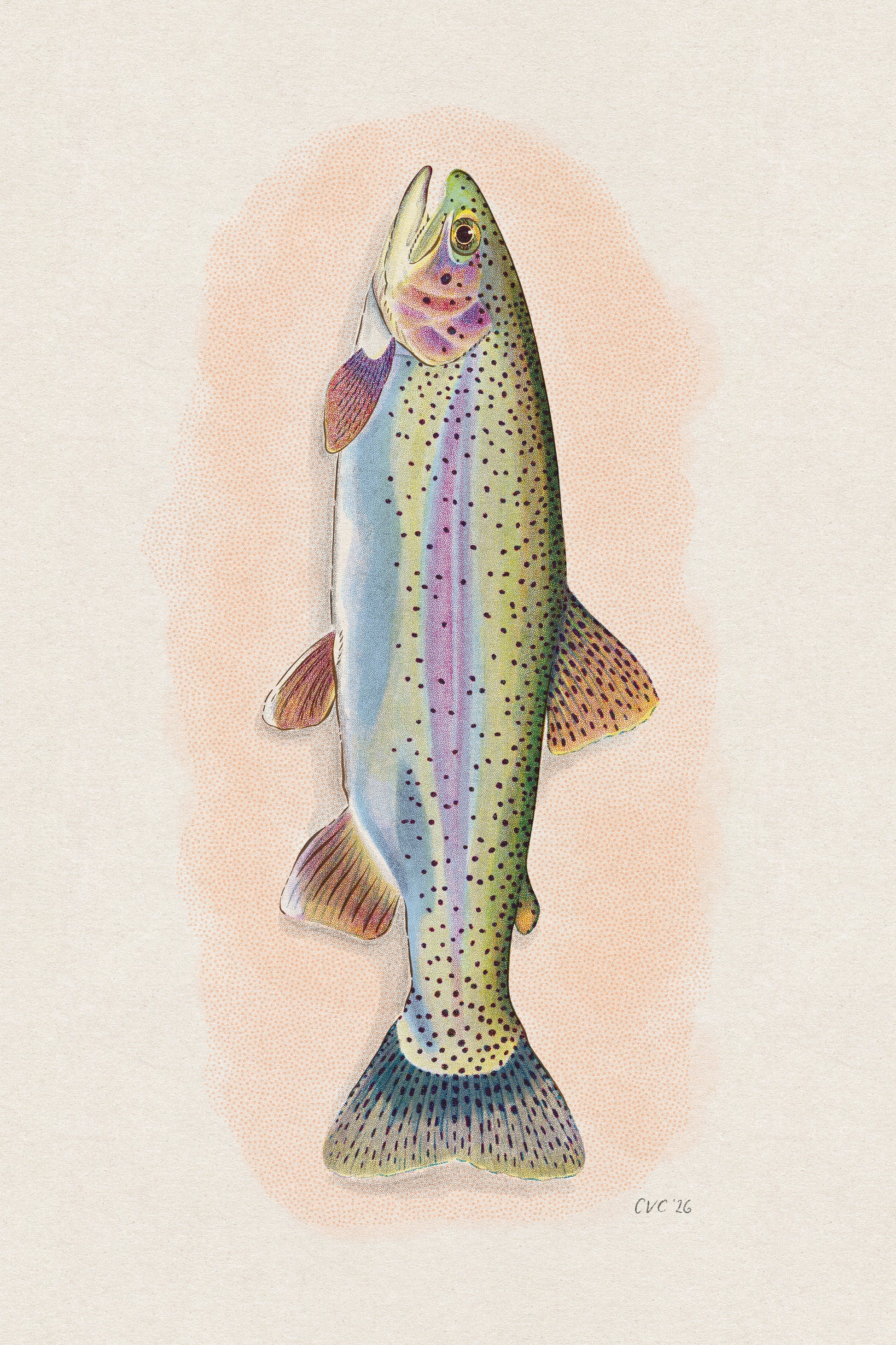 Vintage Trout Print