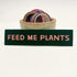 Rectangular 5” by 1.25” size vinyl black sticker with pink block “Feed Me Plants” text. The sticker is leaning against a small ceramic cup that is filled with washi tape and one button pin.